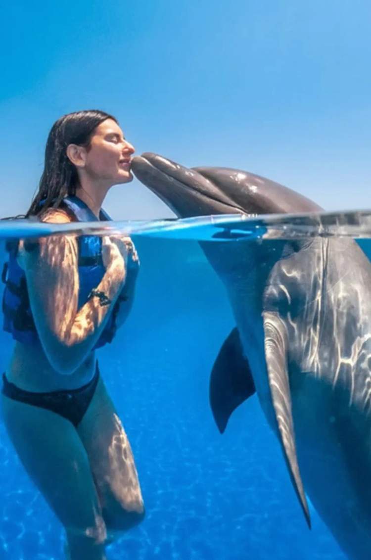 Swim with dolphins in Los Cabos during an unforgettable Pacific bottlenose dolphin experience