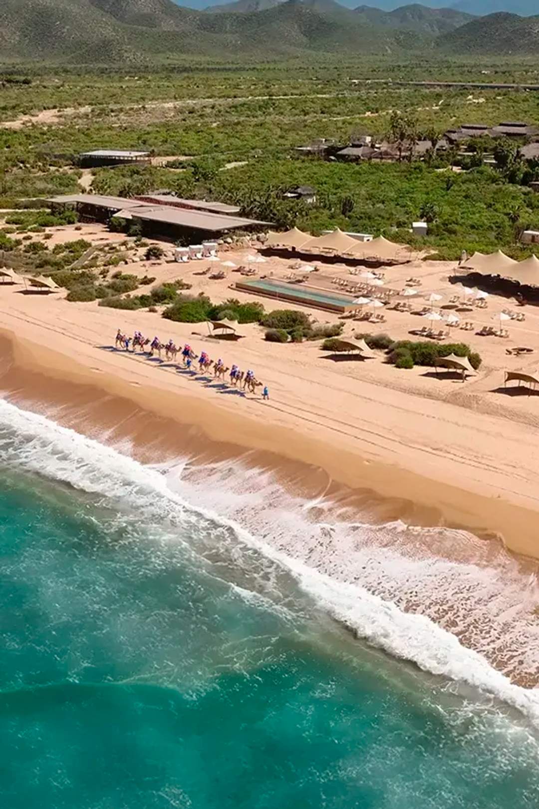 Camel ride along pristine Cabo beach with ocean waves at Tierra Sagrada Beach & Adventure Park
