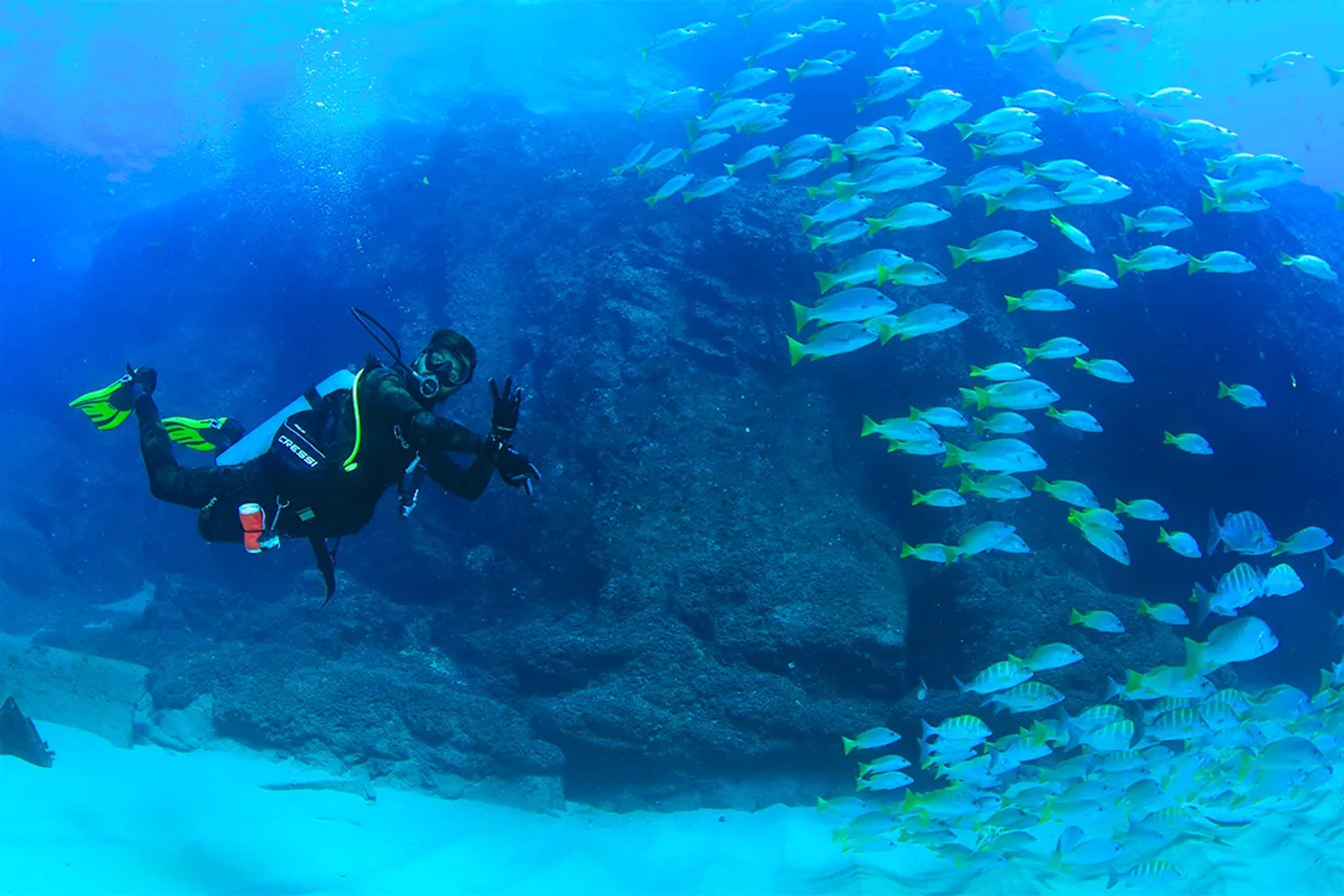 Buzo practicando scuba en Cabo San Lucas, rodeado de peces tropicales sobre arrecifes en aguas cristalinas