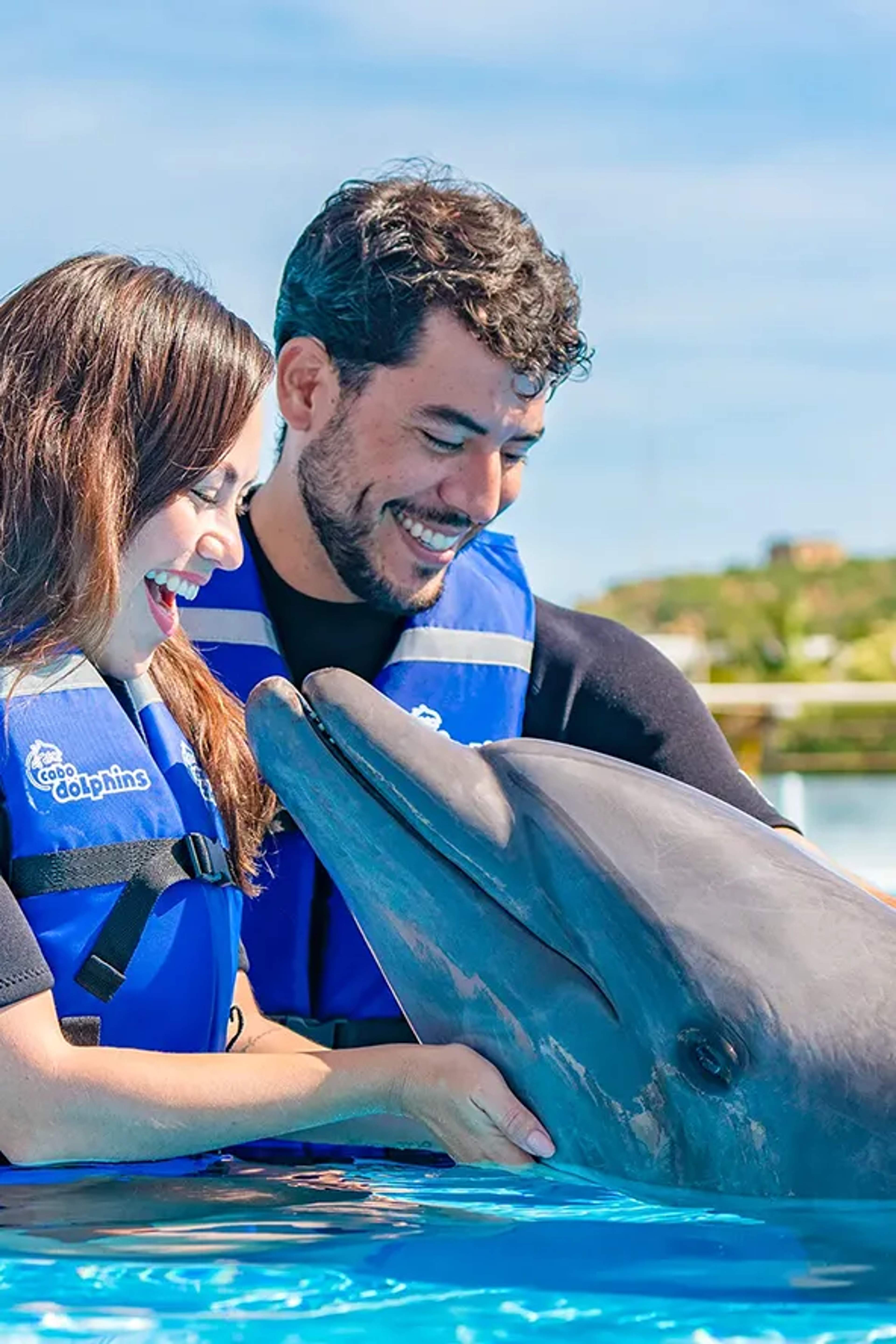Premium Dolphin Swim in Los Cabos with free-swimming, close dolphin interaction and unforgettable marine adventure