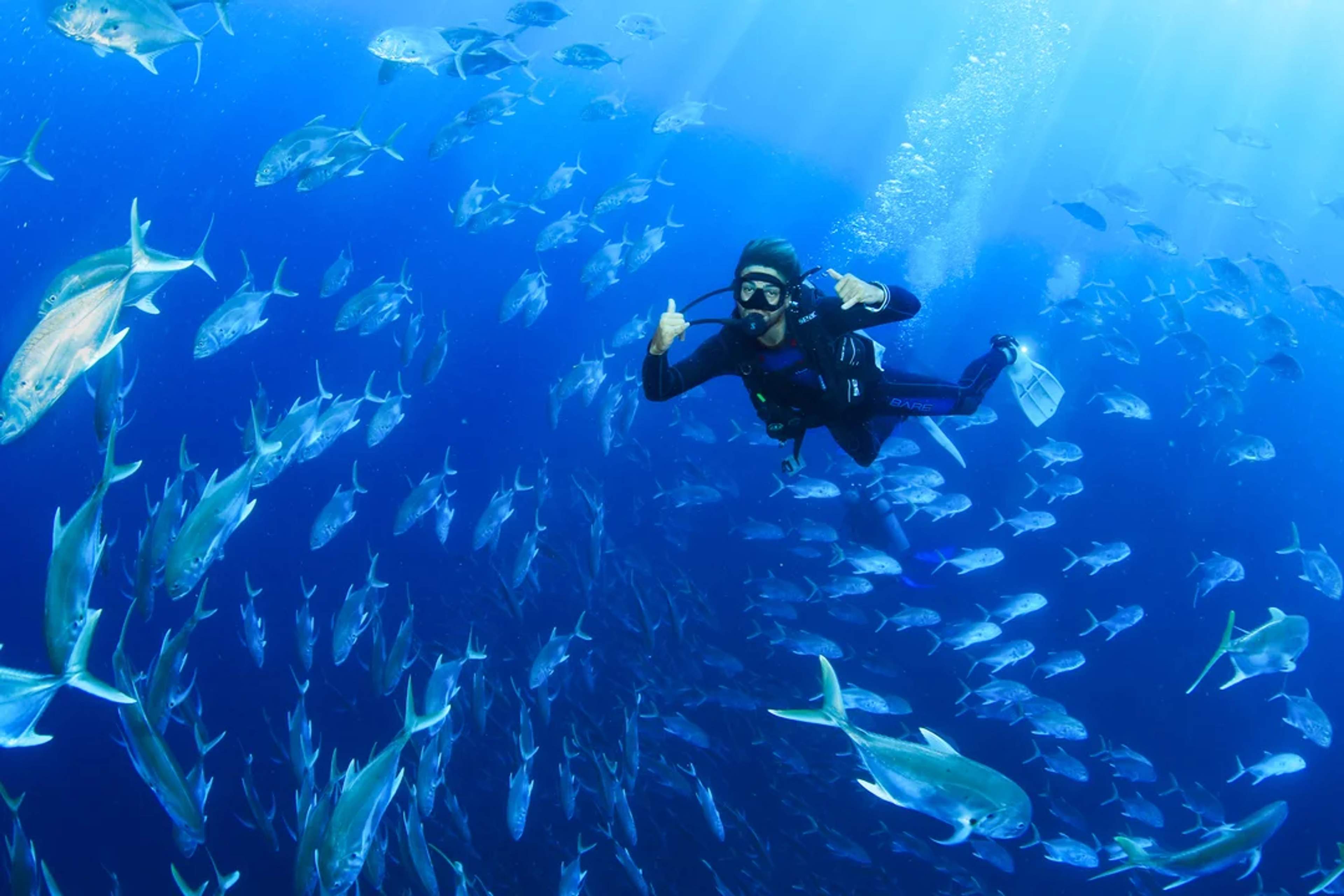 Scuba diver surrounded by a school of fish, exploring the deep blue ocean with a thumbs up.