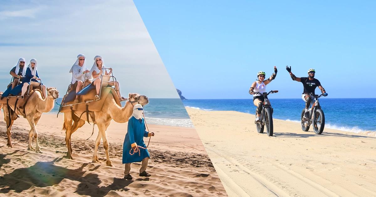 Electric Bike Tour + Camel Ride | Cabo Adventures