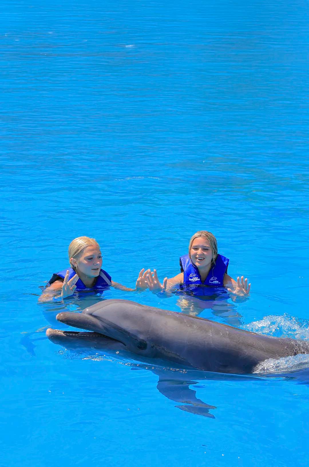 Young women enjoy interacting with a dolphin in an unforgettable water experience.