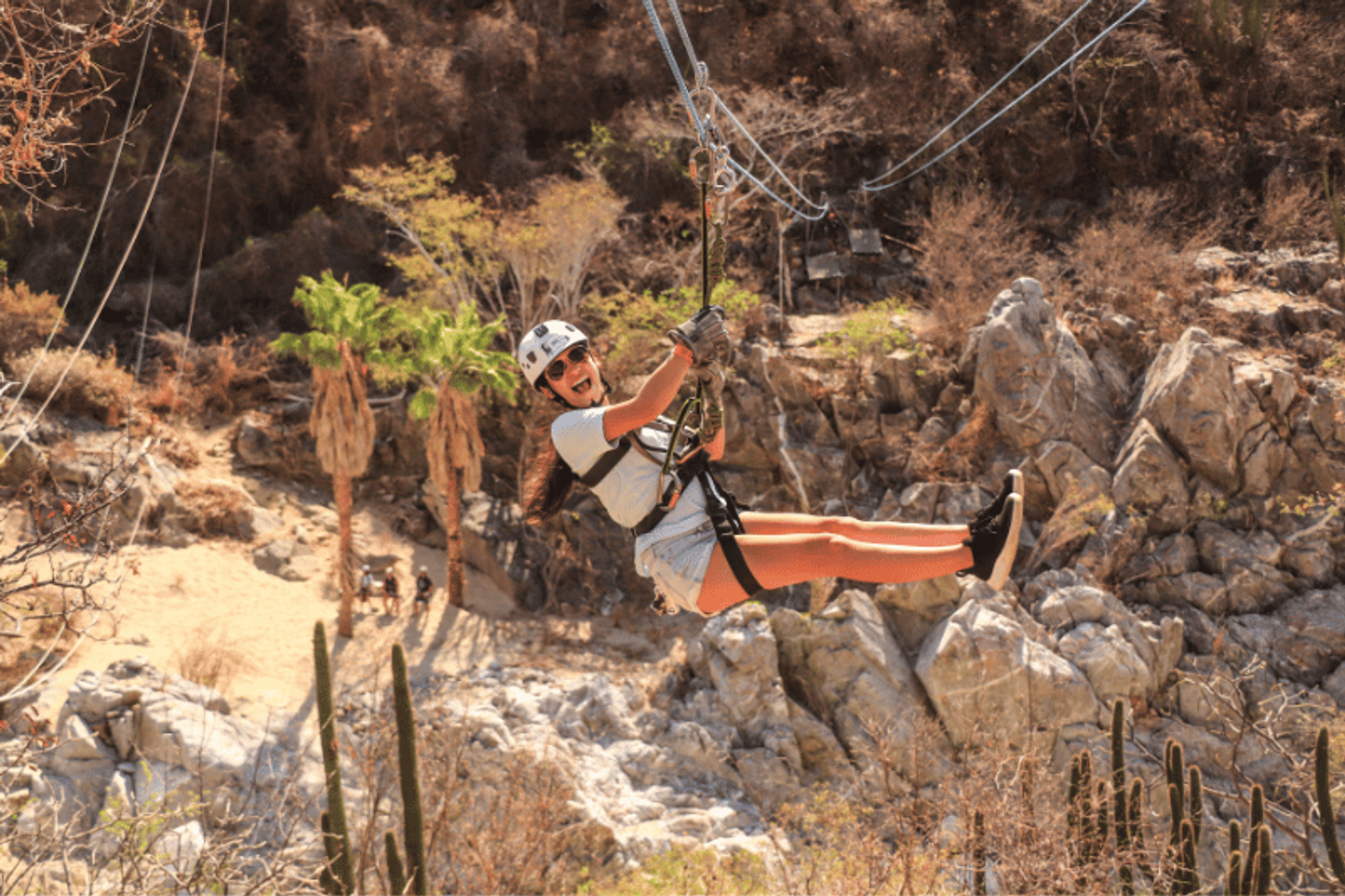 Una persona con casco y arnés disfruta de un paseo en tirolesa sobre un paisaje rocoso y desértico con cactus y palmeras.