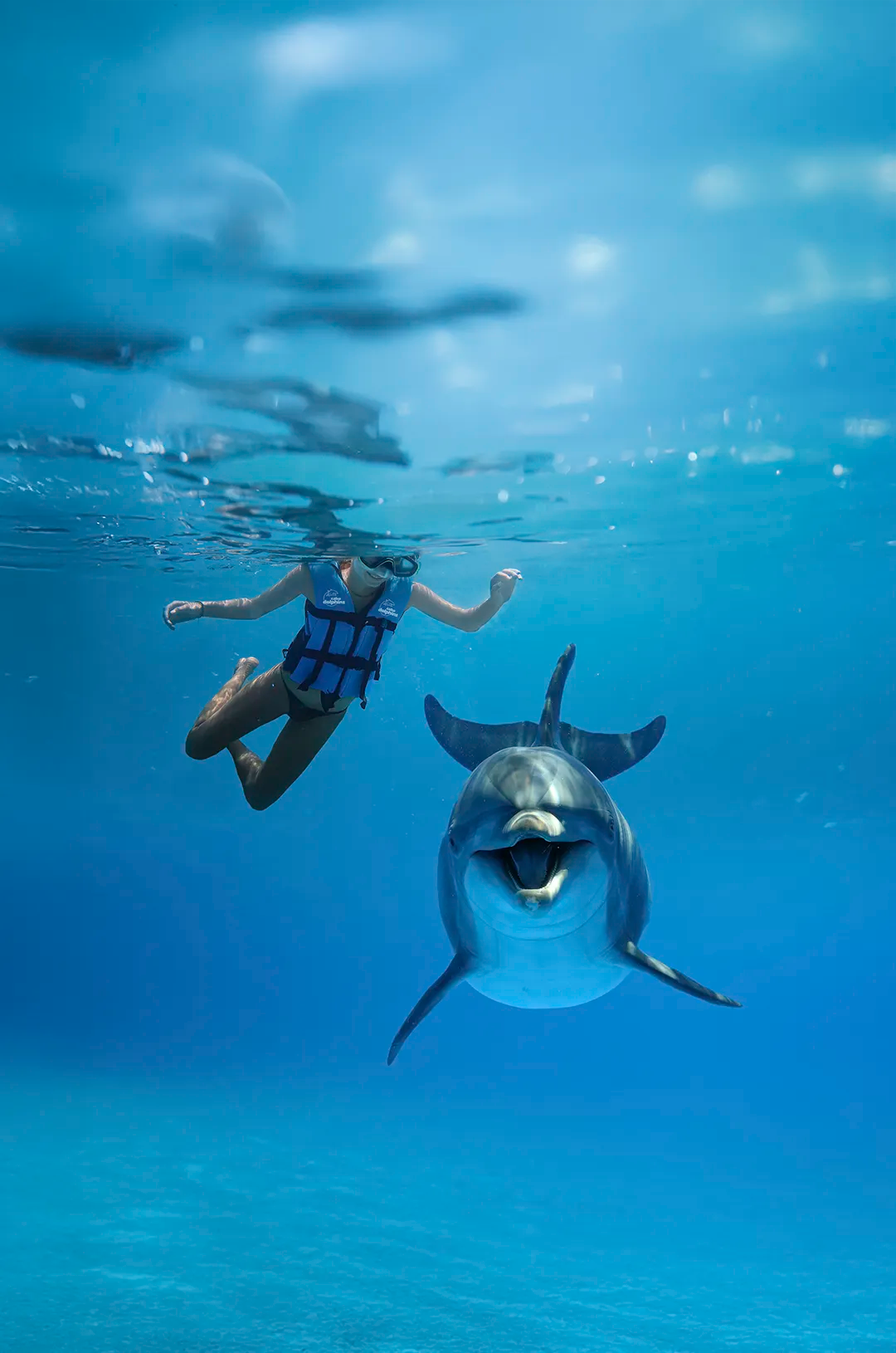 Woman dives beside a smiling dolphin in clear blue water, sharing a magical moment.