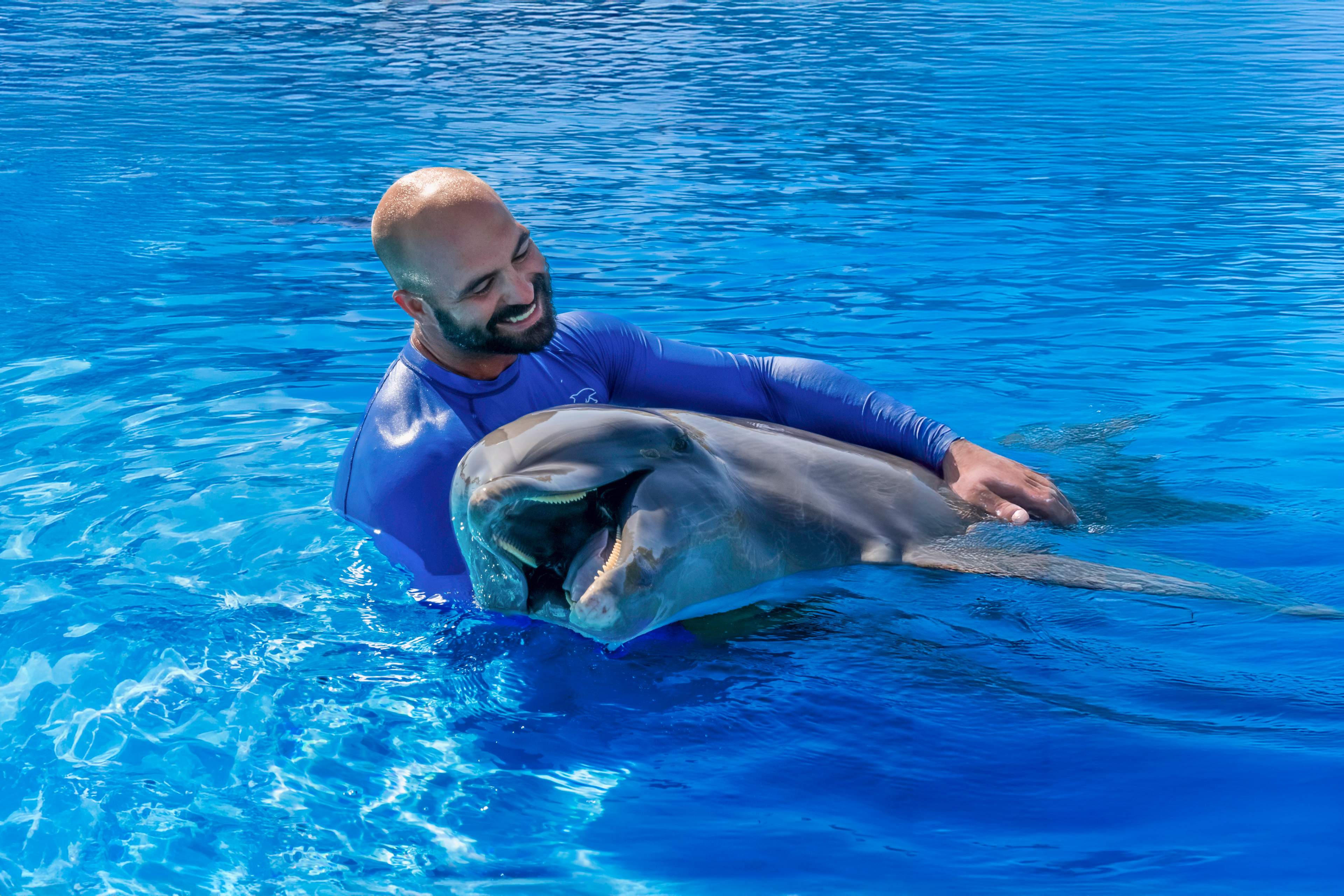 Hombre con camisa azul sonríe mientras sostiene un delfín en una piscina, ambos lucen felices en el agua azul brillante.