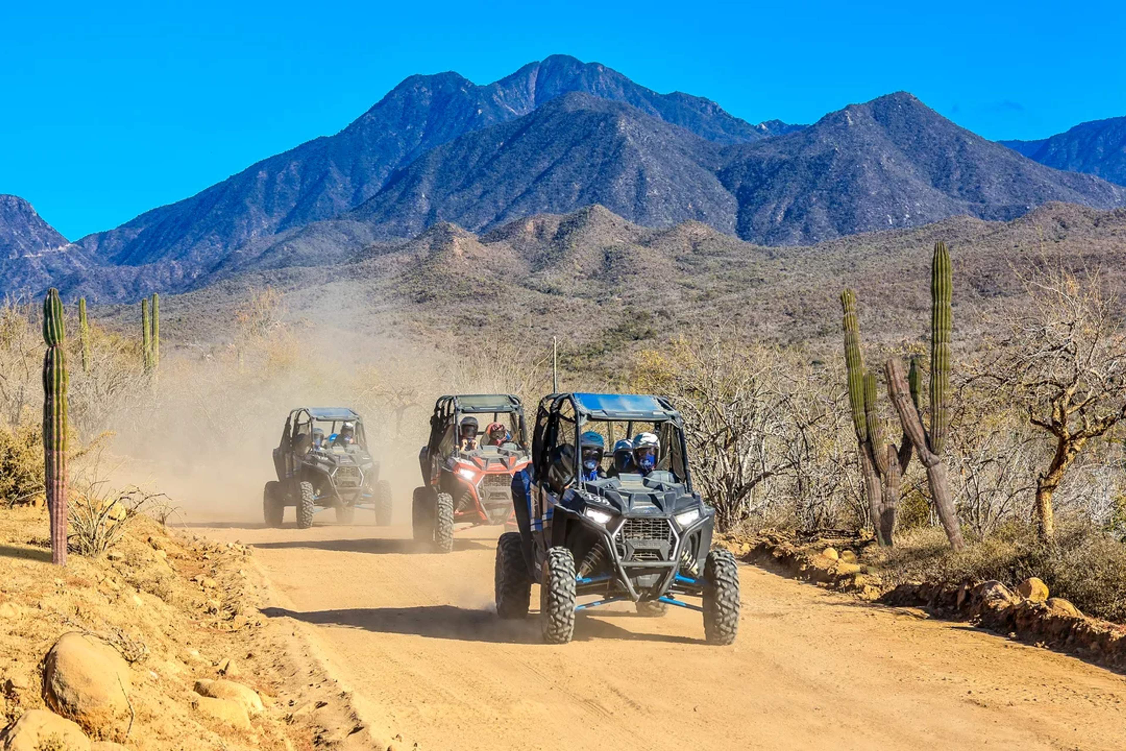 Conquer Baja’s desert trails on a UTV—thrills, dust, and epic mountain views!