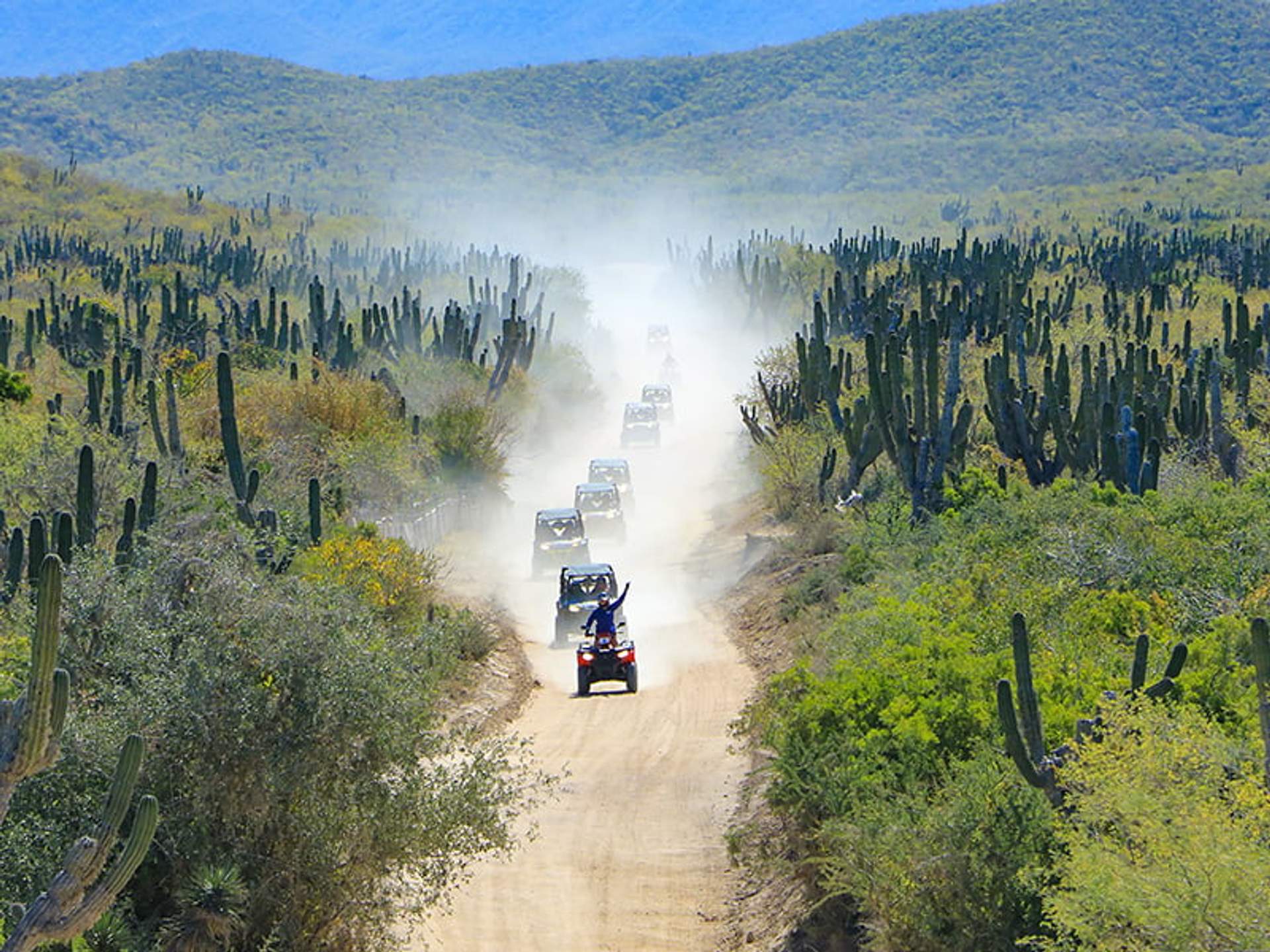 Un grupo de vehículos todoterreno levanta polvo mientras conducen por un camino de tierra a través de un paisaje desértico lleno de cactus.
