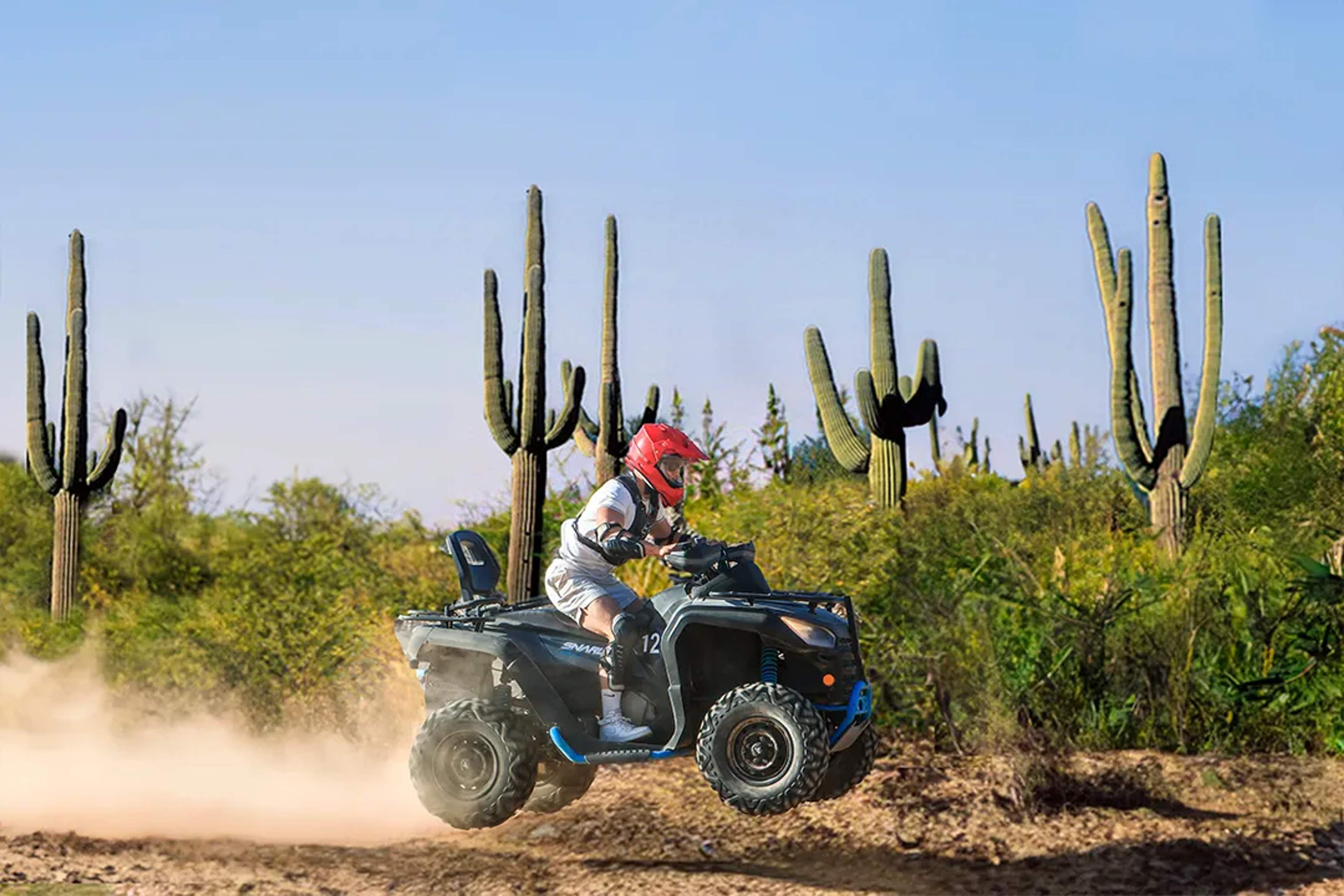 ATV adventure in the Cabo desert with a rider speeding through sandy trails surrounded by tall cacti