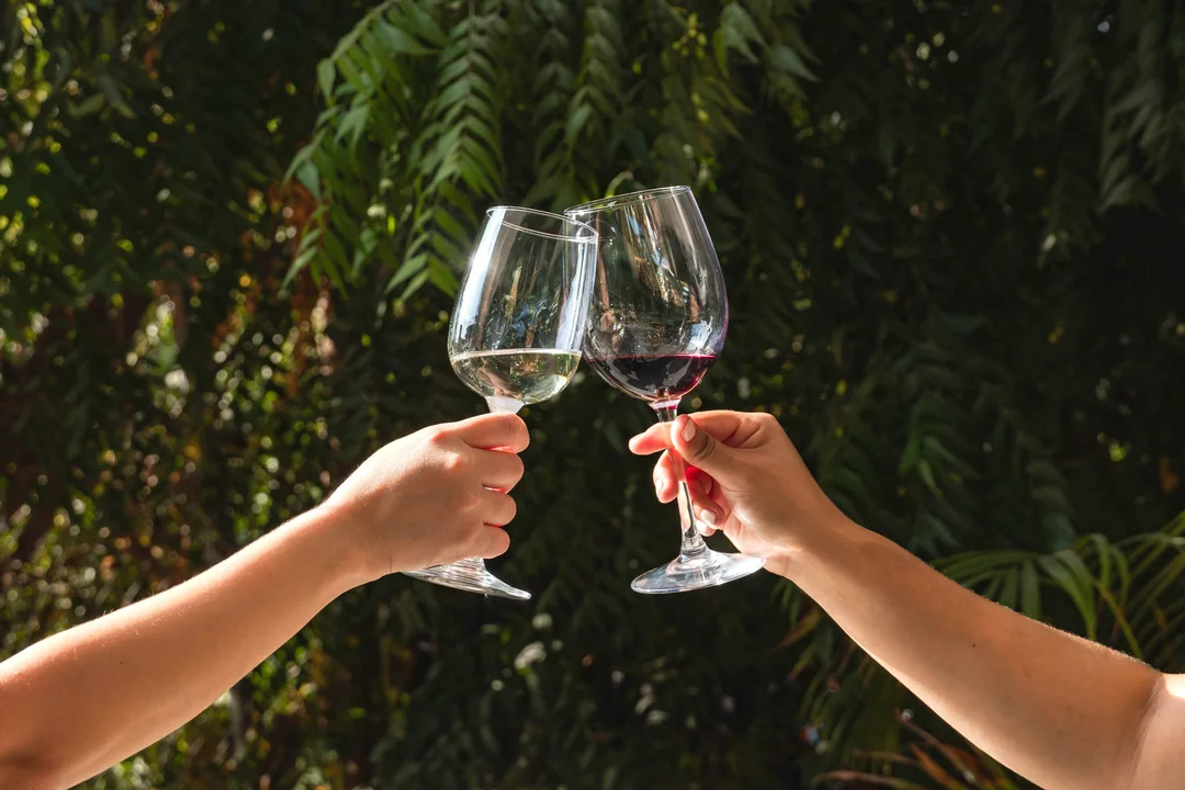 Dos manos brindan con copas de vino tinto y blanco en un jardín soleado.
