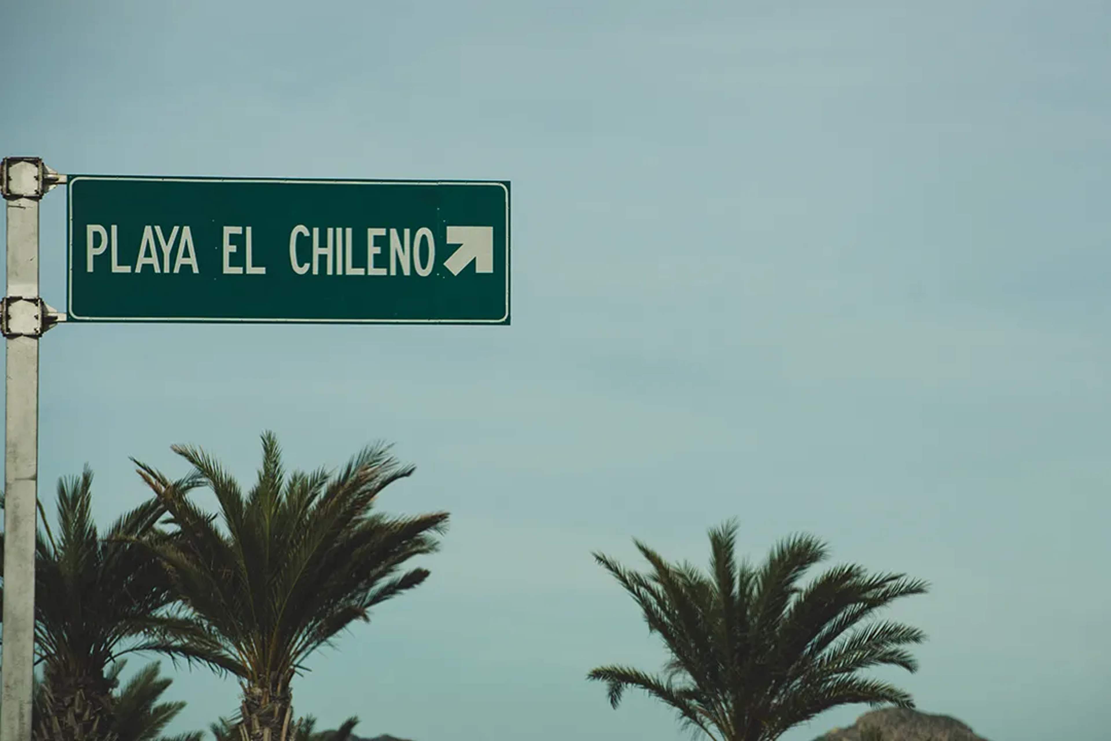 Playa El Chileno road sign above palm trees and clear sky in Cabo San Lucas, Baja California Sur MX.
