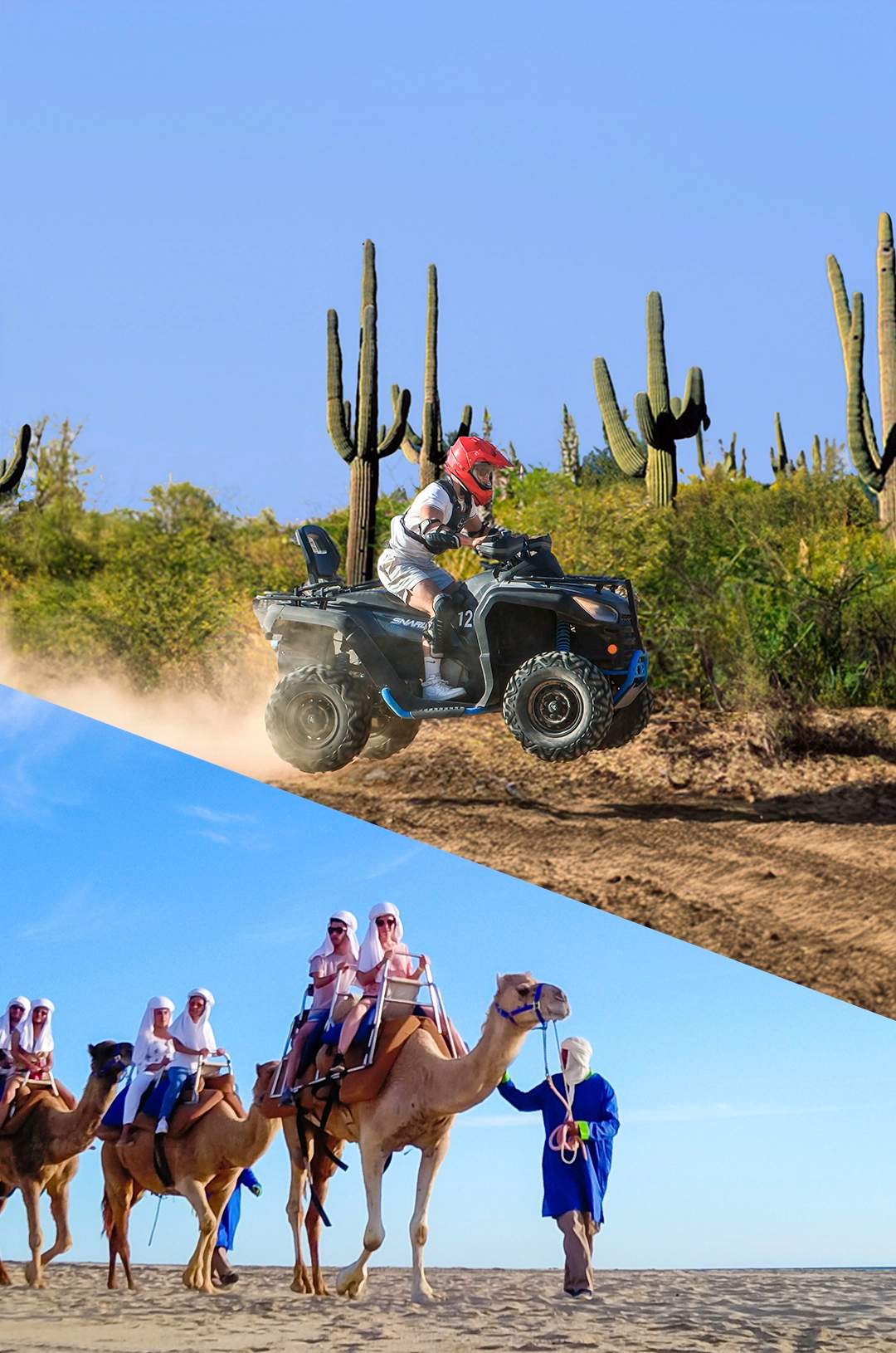 Person with a camel under a palm tree and an off-road vehicle driving on the beach