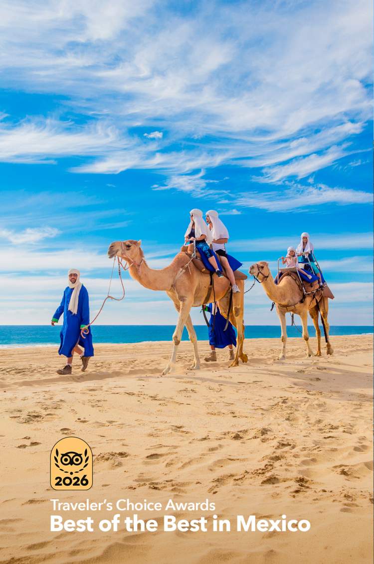 Group of people riding camels on a desert beach, led by a local guide