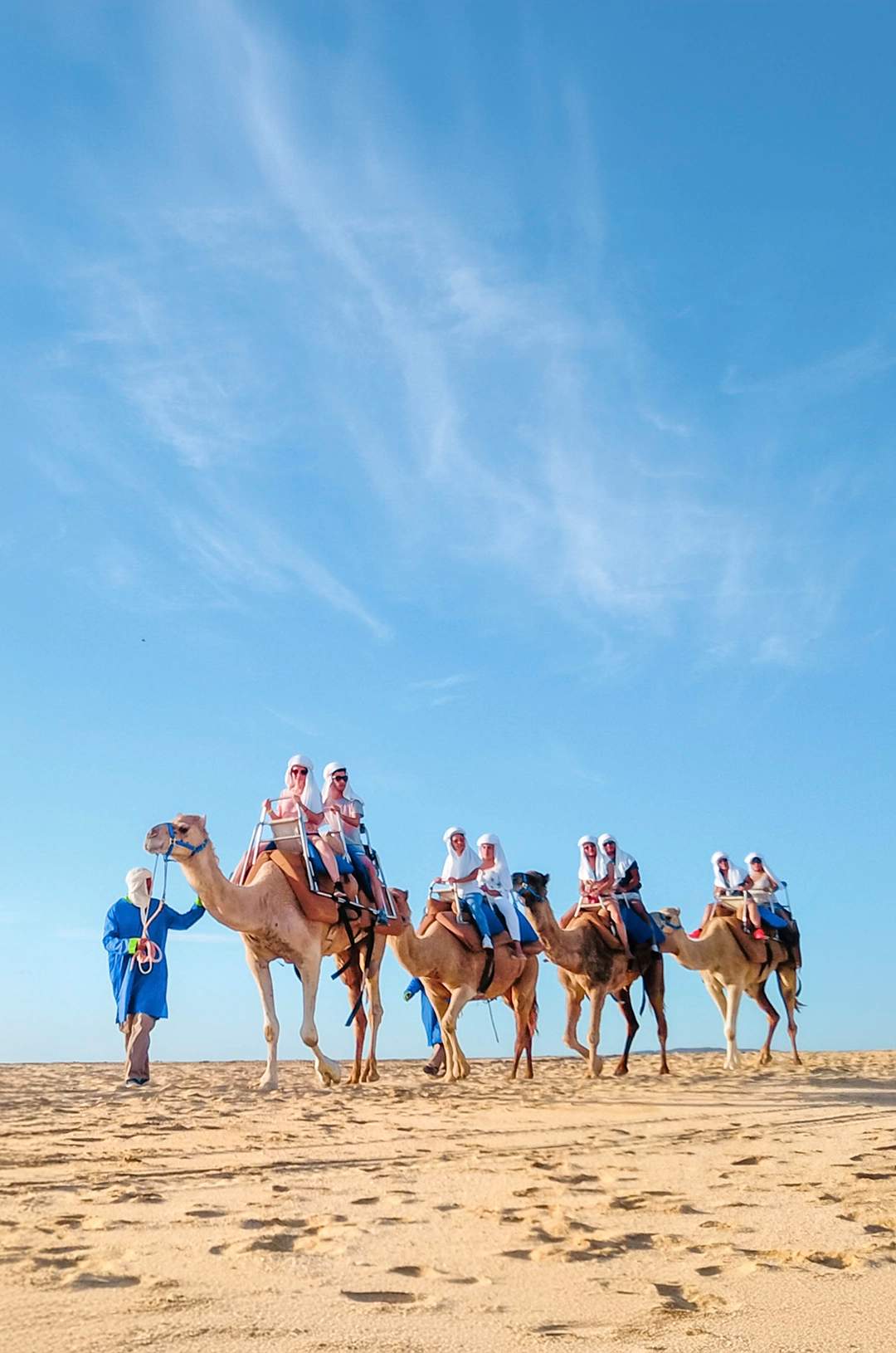 Grupo de personas montando camellos en la playa bajo un cielo despejado en Cabo San Lucas.