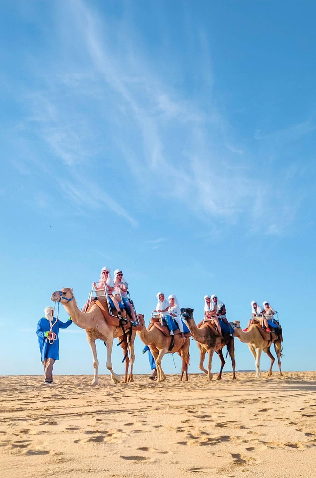 Camel ride adventure in Cabo desert with blue skies, perfect family-friendly activity in Los Cabos