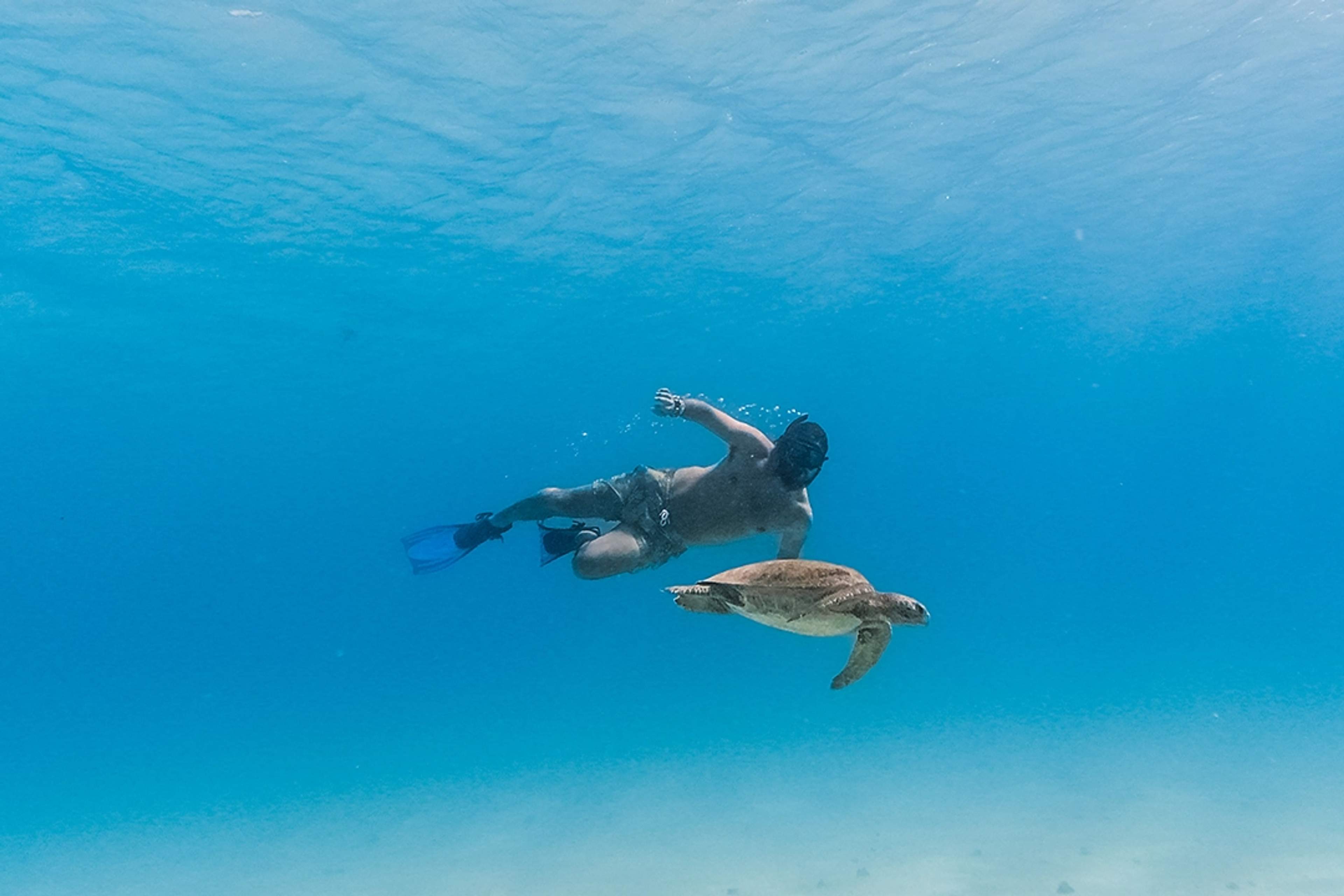 Person snorkeling underwater next to a sea turtle in clear waters, surrounded by a serene environment.