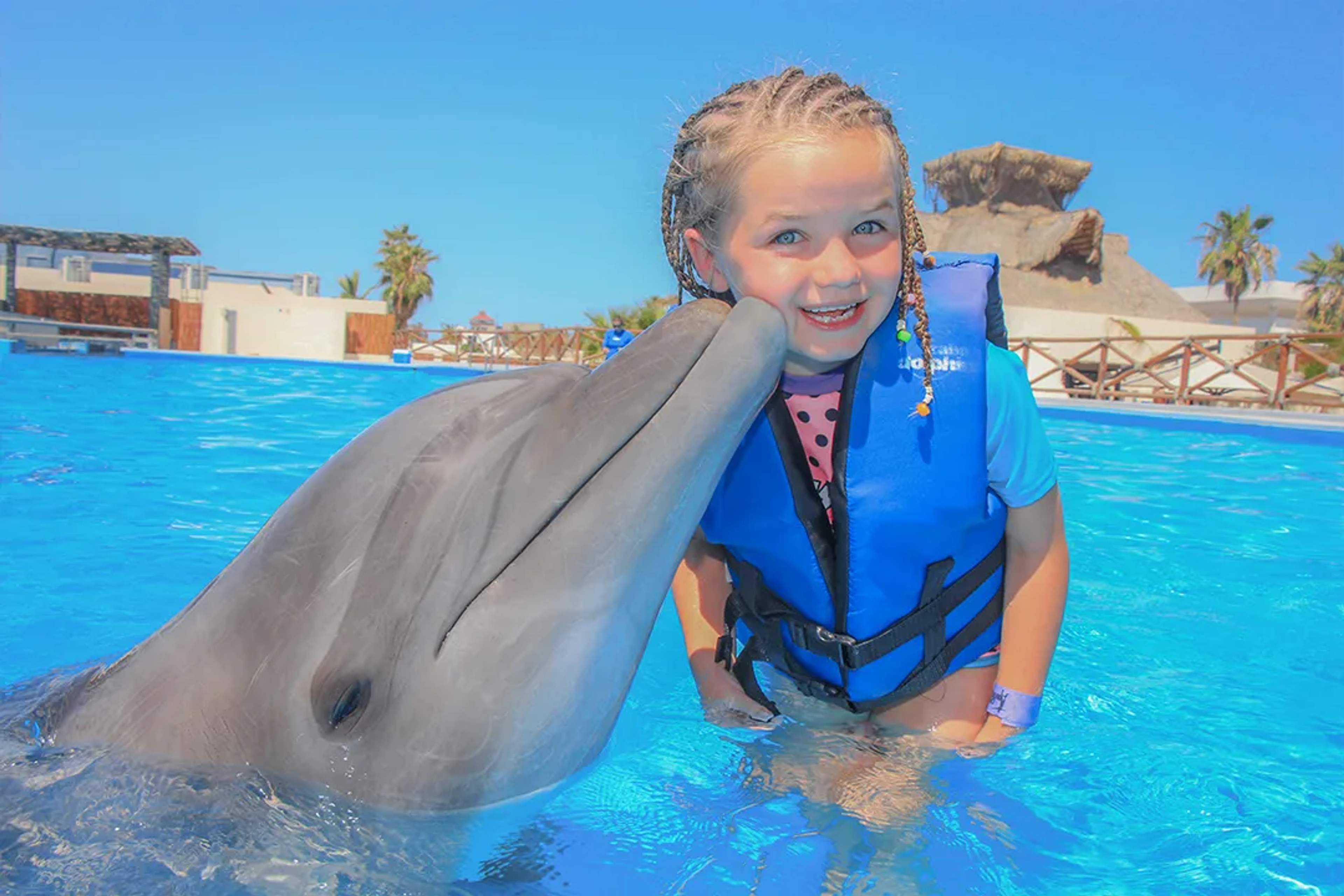 Cabo Dolphins: What To Expect With Each Dolphin Experience