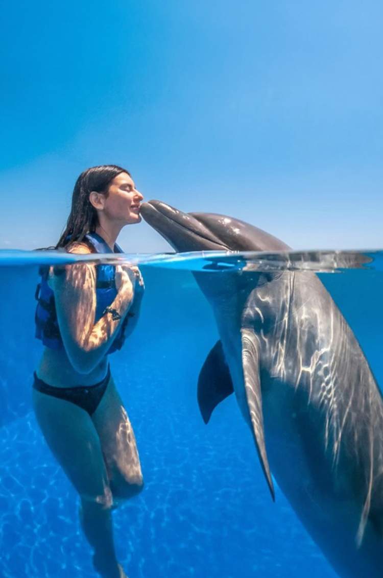 Swim with dolphins in Los Cabos as part of the Dolphins + Whales combo, with Cabo Adventures.