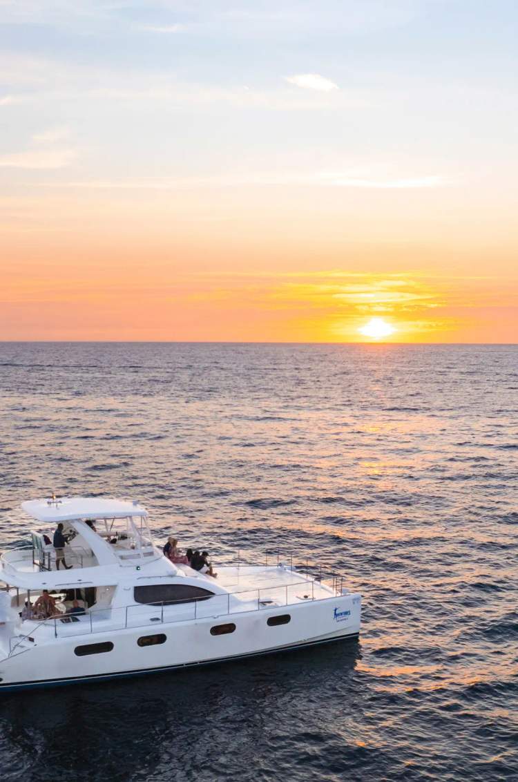 Espectacular atardecer en el océano Pacífico a bordo de un yate catamarán como parte un tour de Avistamiento de Ballena Gris.