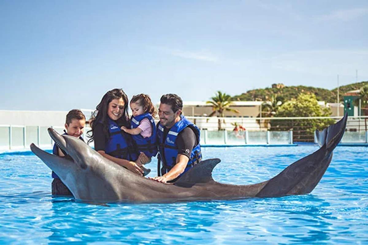 Family gather around a delfin 