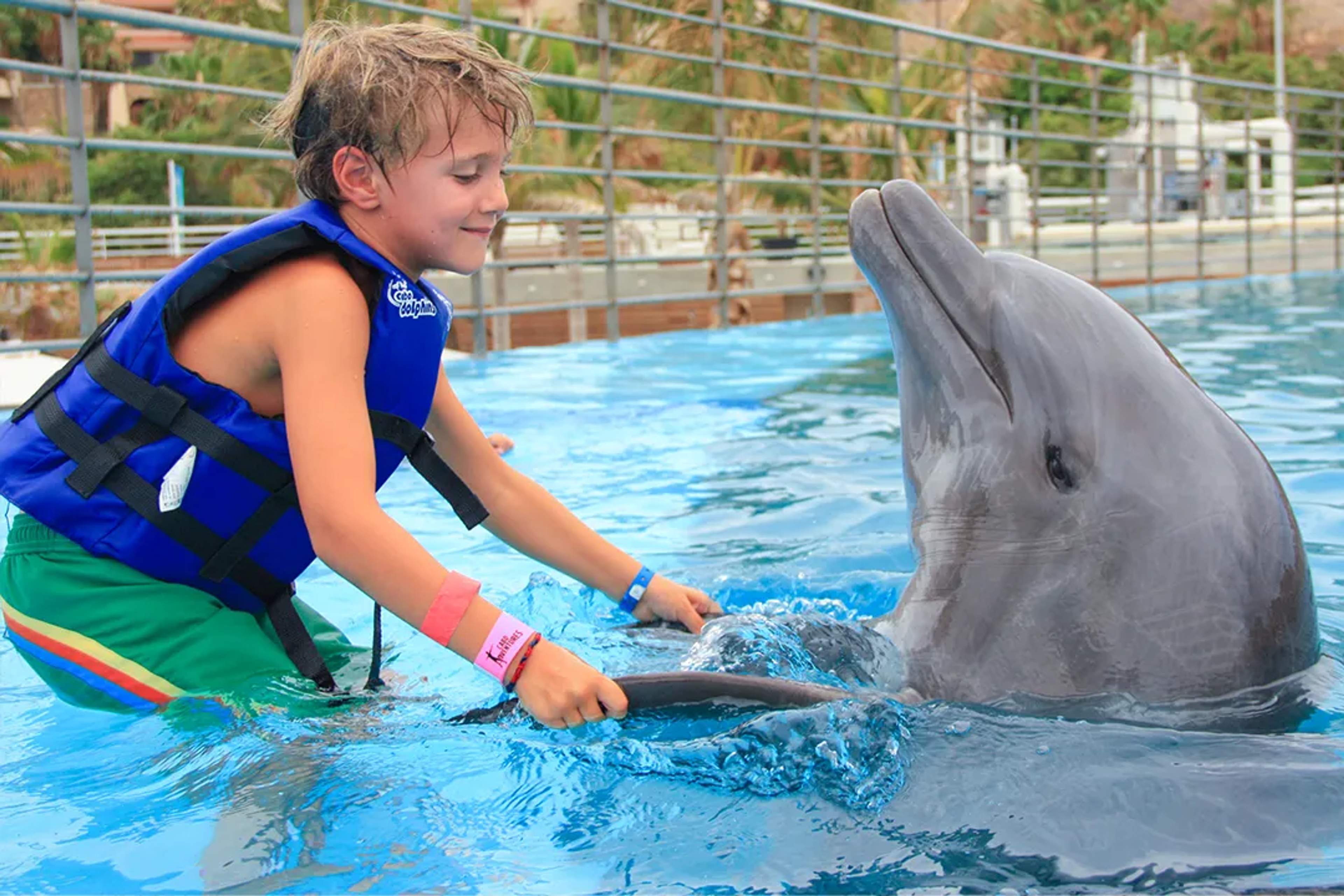 Smiling child holding a dolphin’s fins during an interactive swim experience.