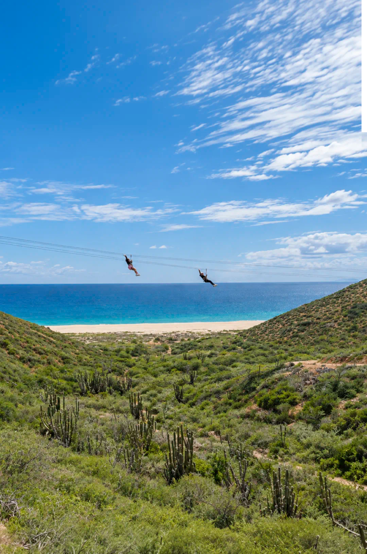 Two guests on parallel ziplines with ocean views on Pacific Zipline Adventure by Cabo Adventures.