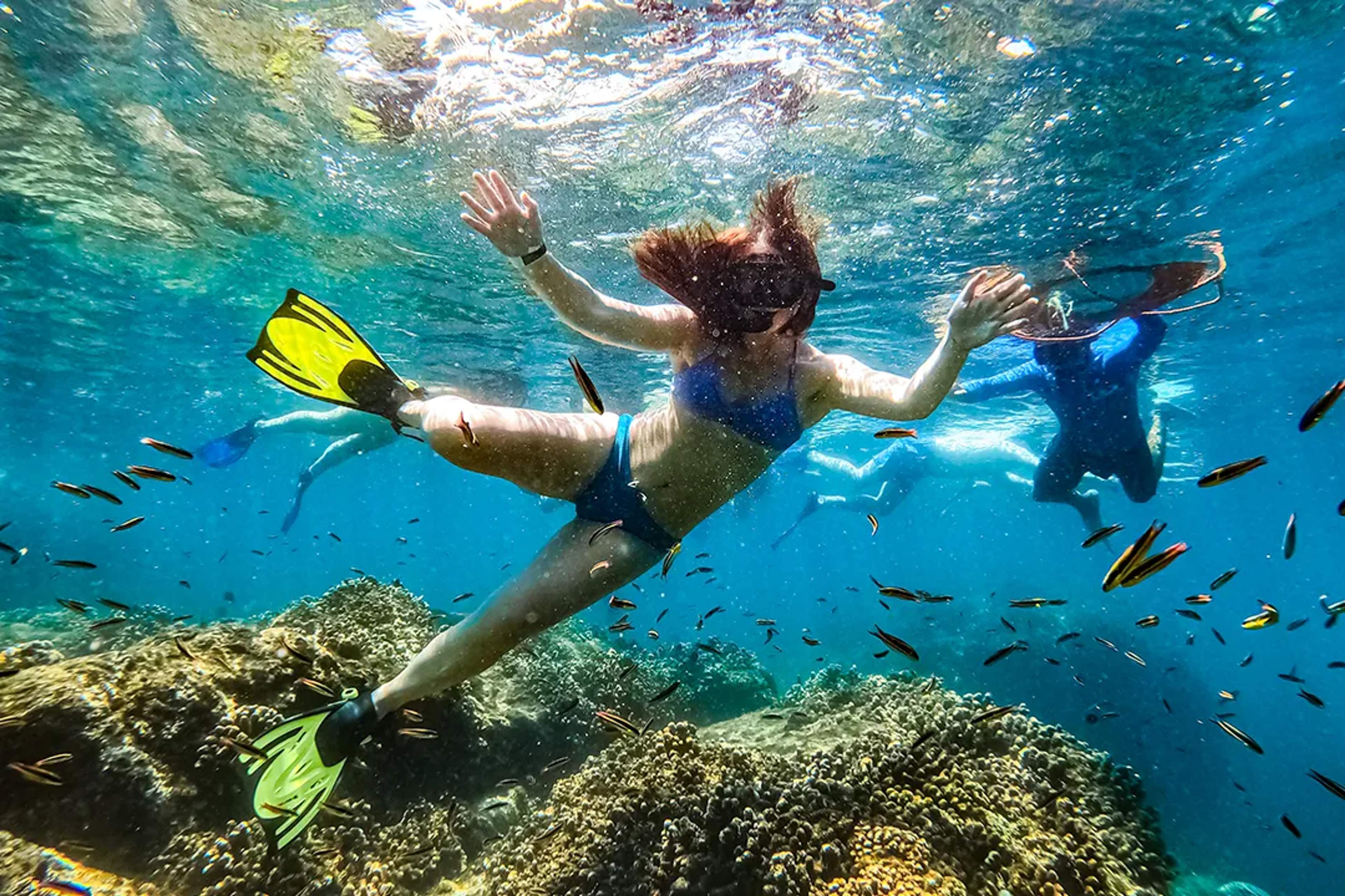 Woman snorkeling in clear blue water surrounded by coral reefs and colorful tropical fish.