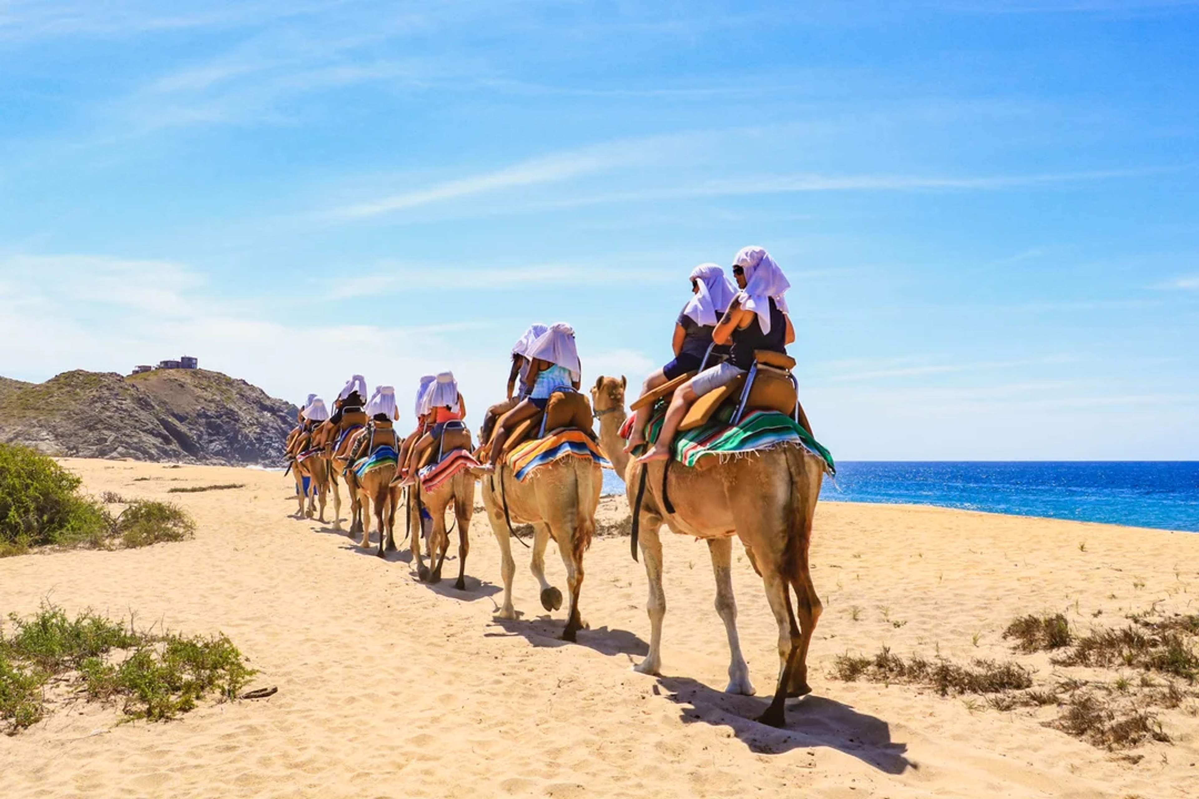 Recorre el desierto dorado en camello junto al mar—una aventura inolvidable en Cabo San Lucas.