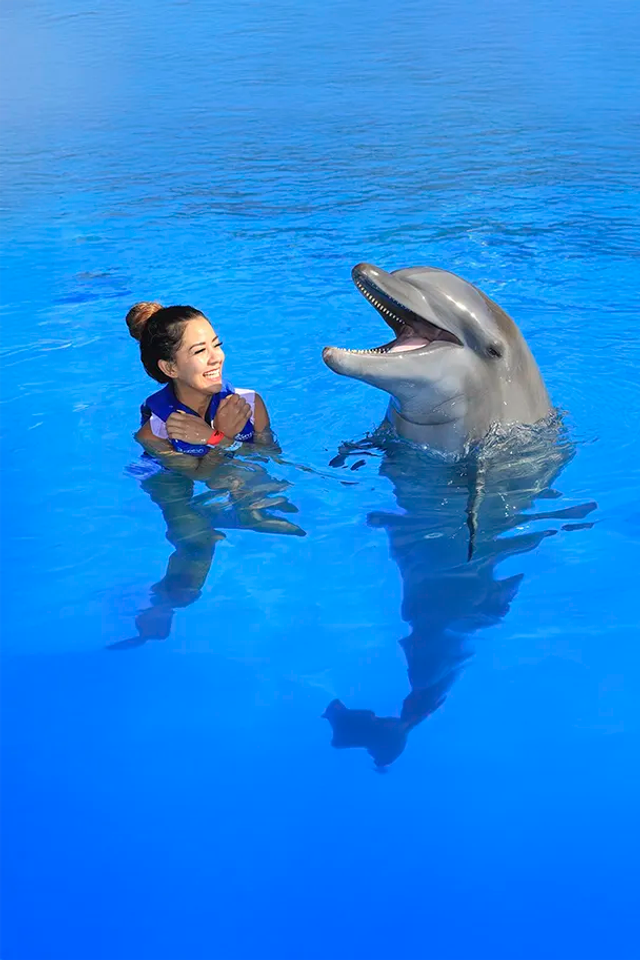Woman enjoying a dolphin swim in Cabo San Lucas.