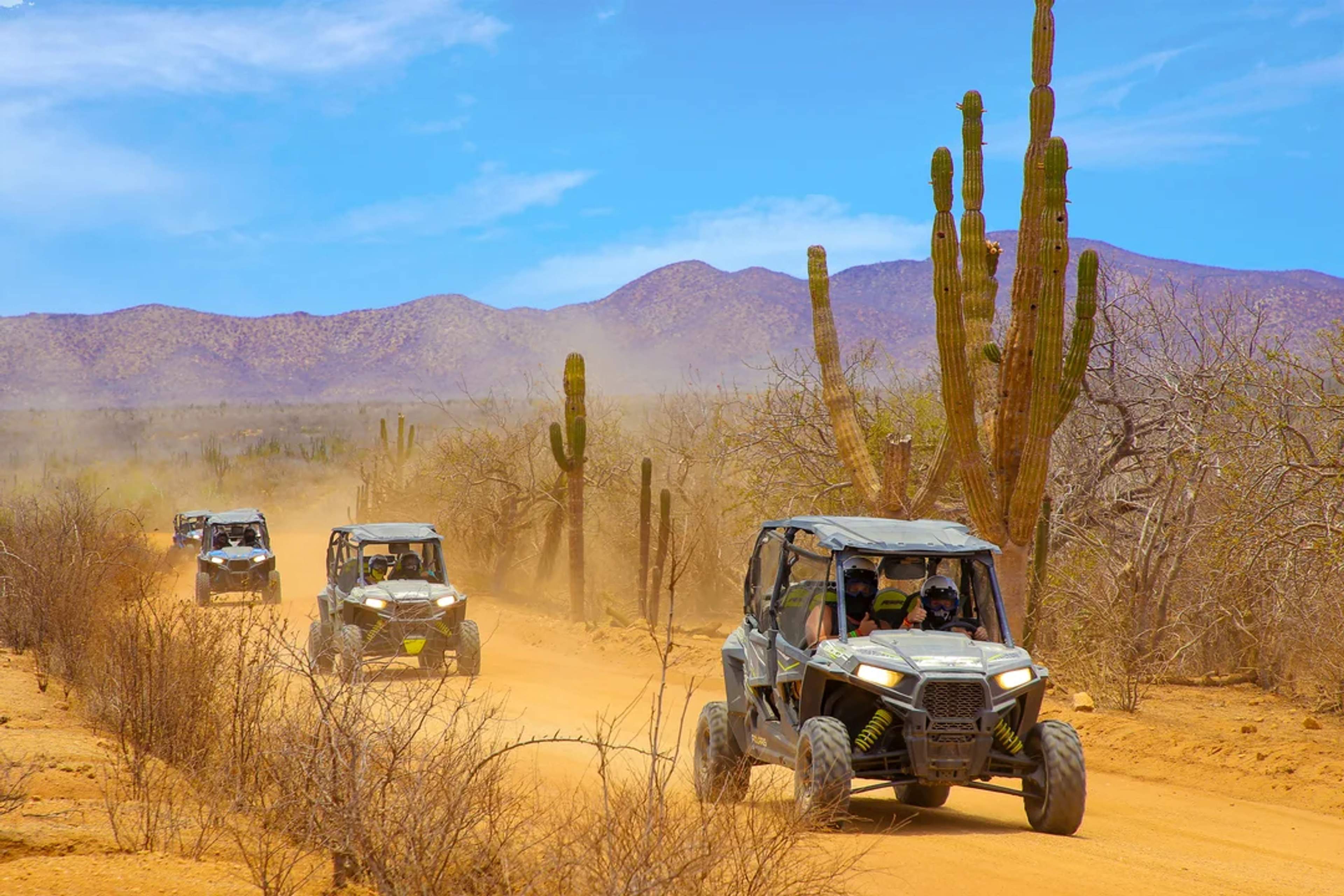 Vehículos UTV recorren un sendero desértico entre cactus y montañas bajo un cielo despejado.