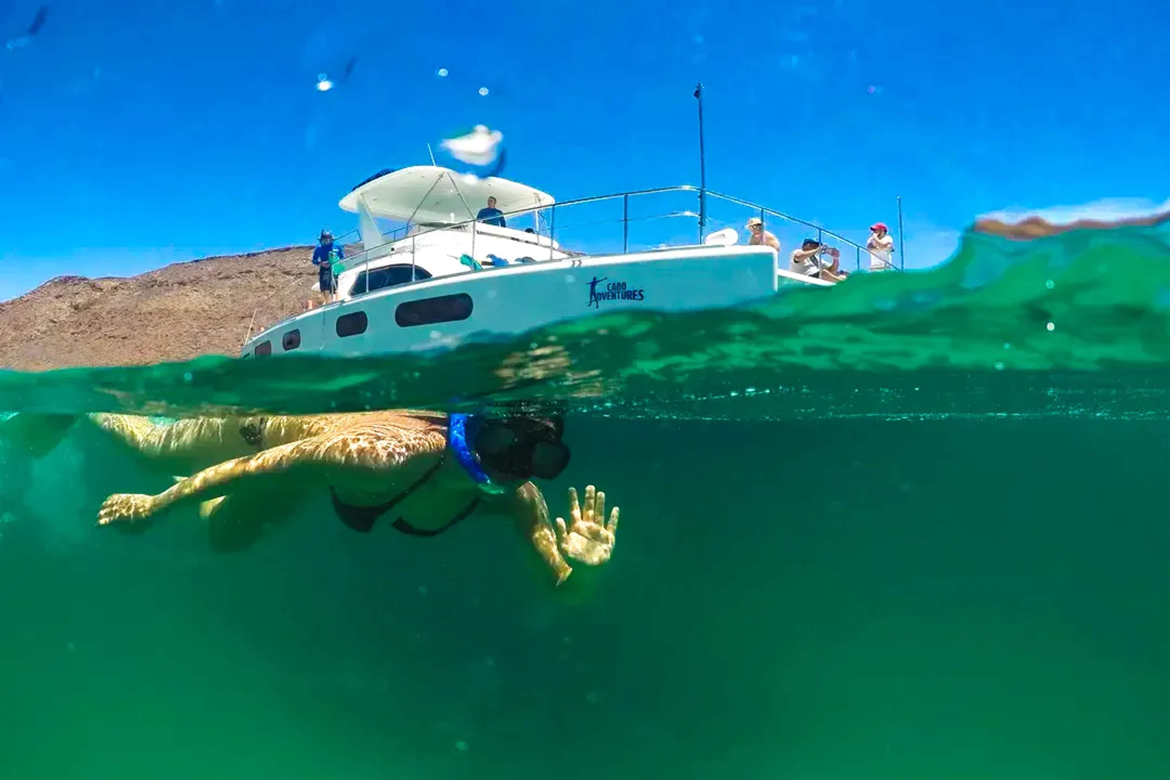 Dive into adventure—snorkel in Baja’s clear waters and relax on a luxury catamaran.
