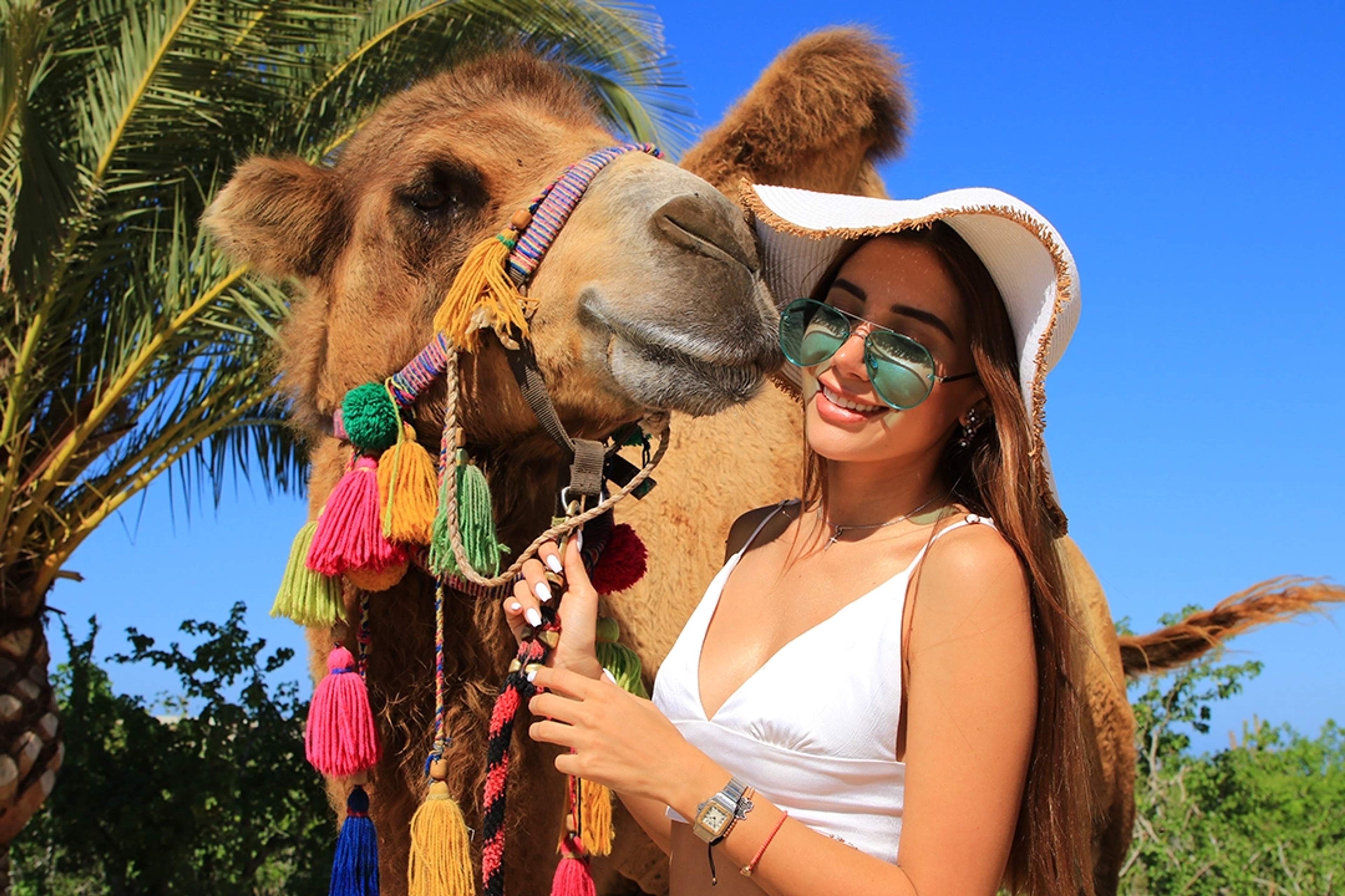 A woman poses with a camel decorated with colorful tassels, under a clear blue sky and surrounded by palm trees.