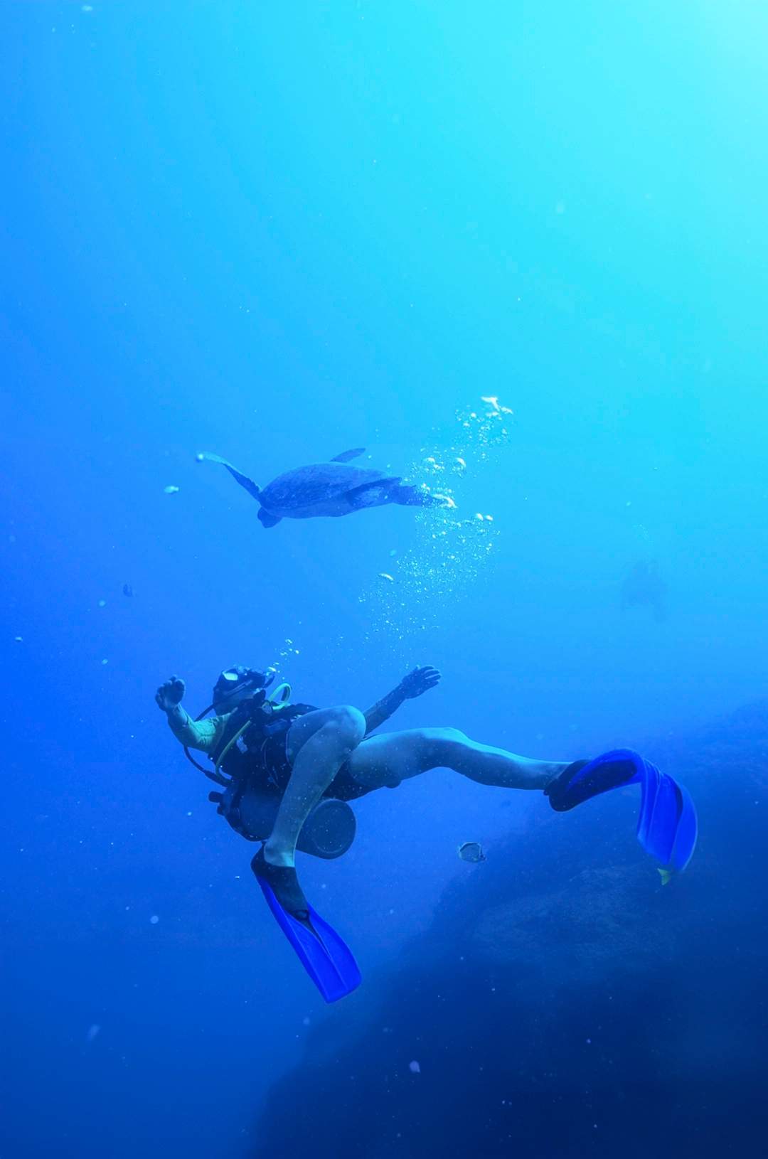 Two divers explore an underwater reef, observing corals and marine life