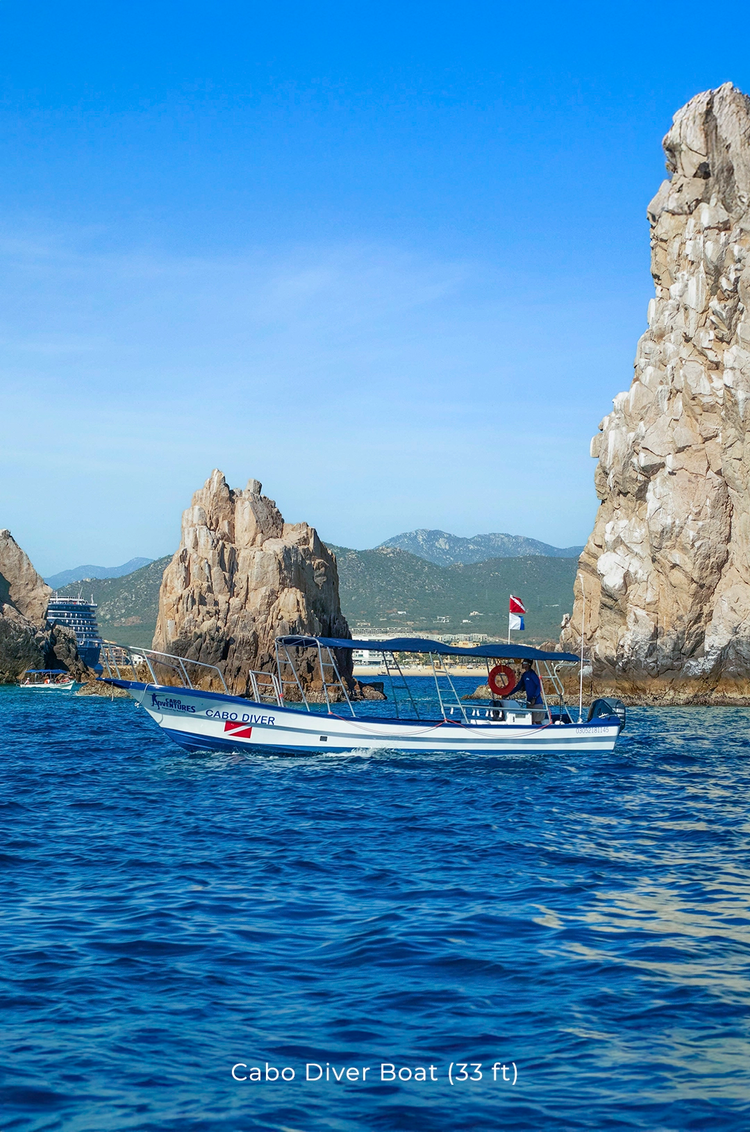 Barco de buceo Cabo Diver navegando cerca de formaciones rocosas icónicas en Cabo San Lucas.