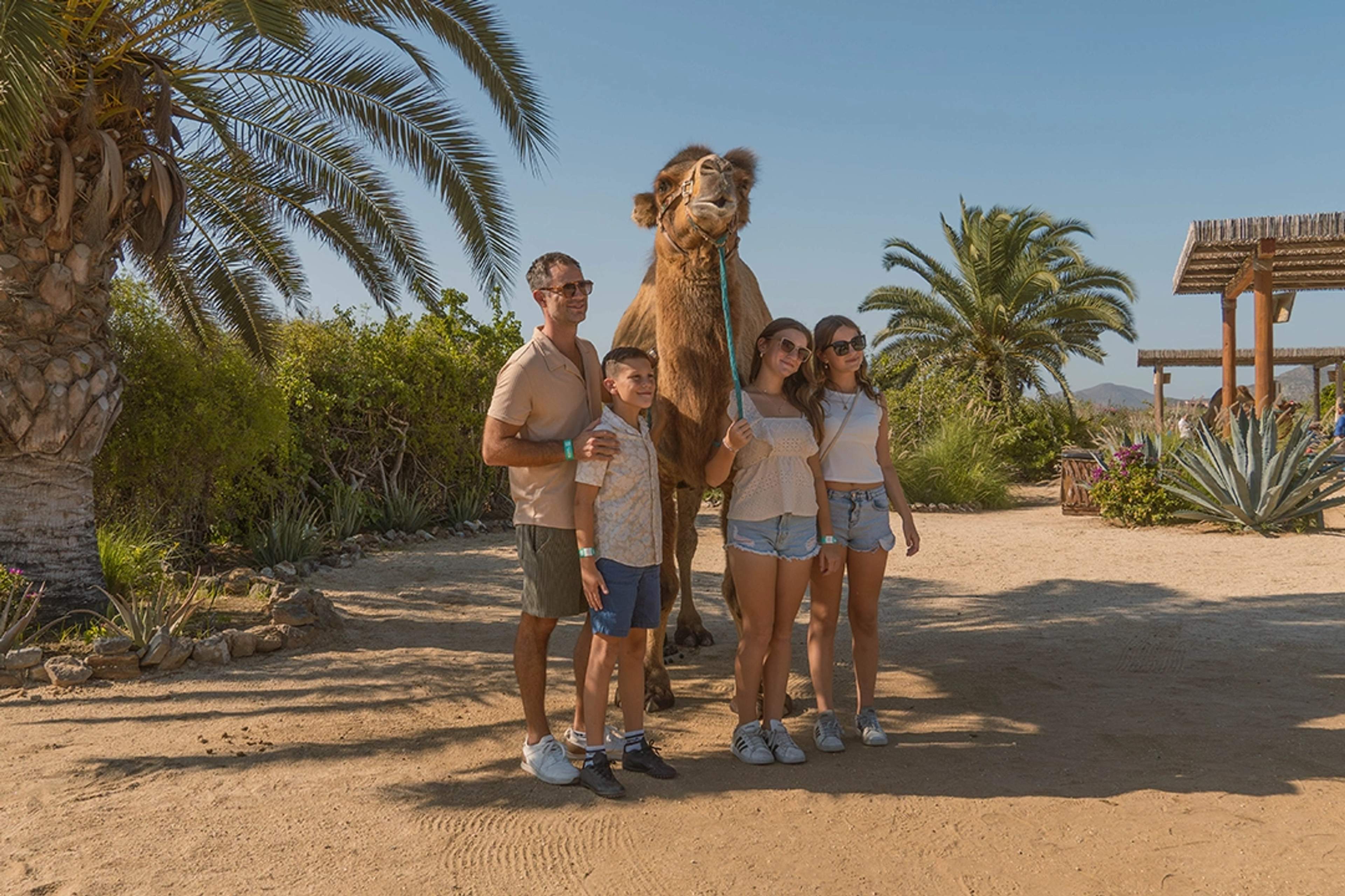 A family posing with a camel under palm trees during a camel trek experience in Cabo.