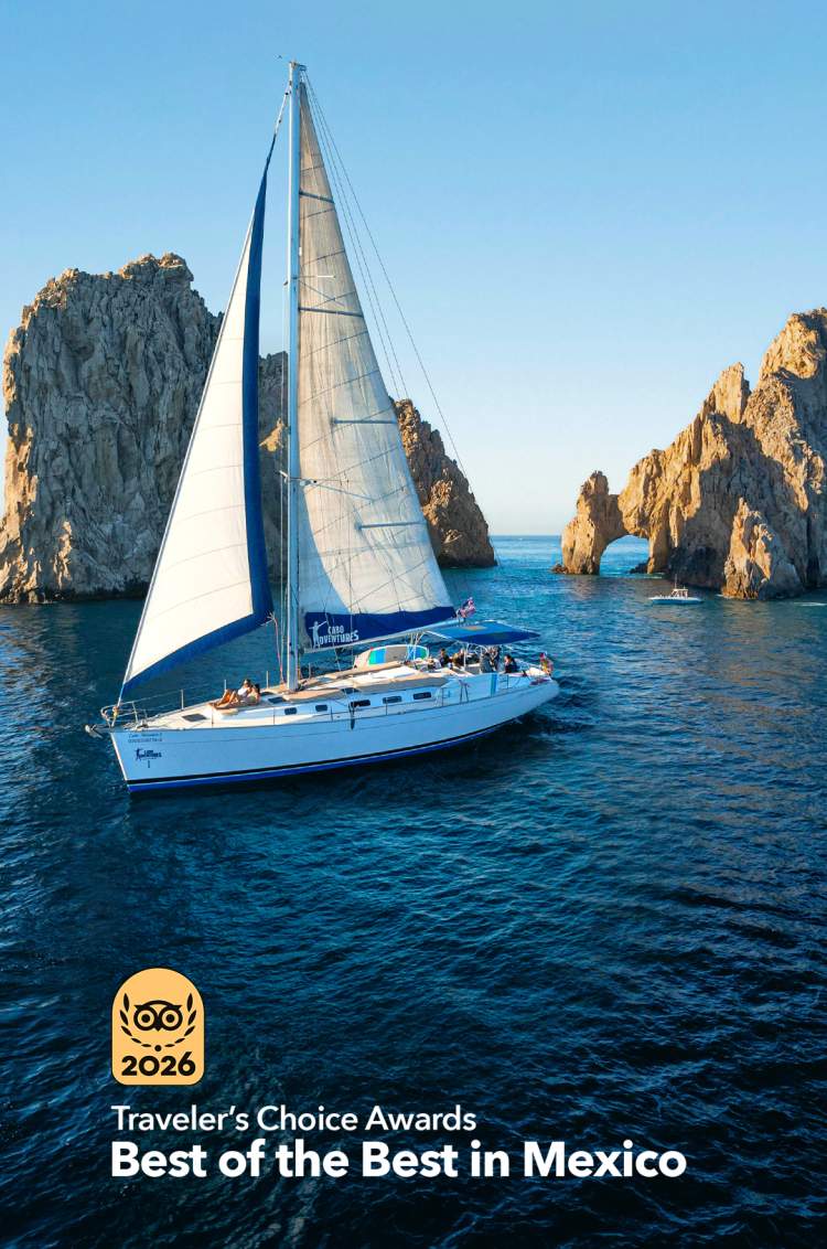Cabo Sailing tour near the Arch of Cabo San Lucas.