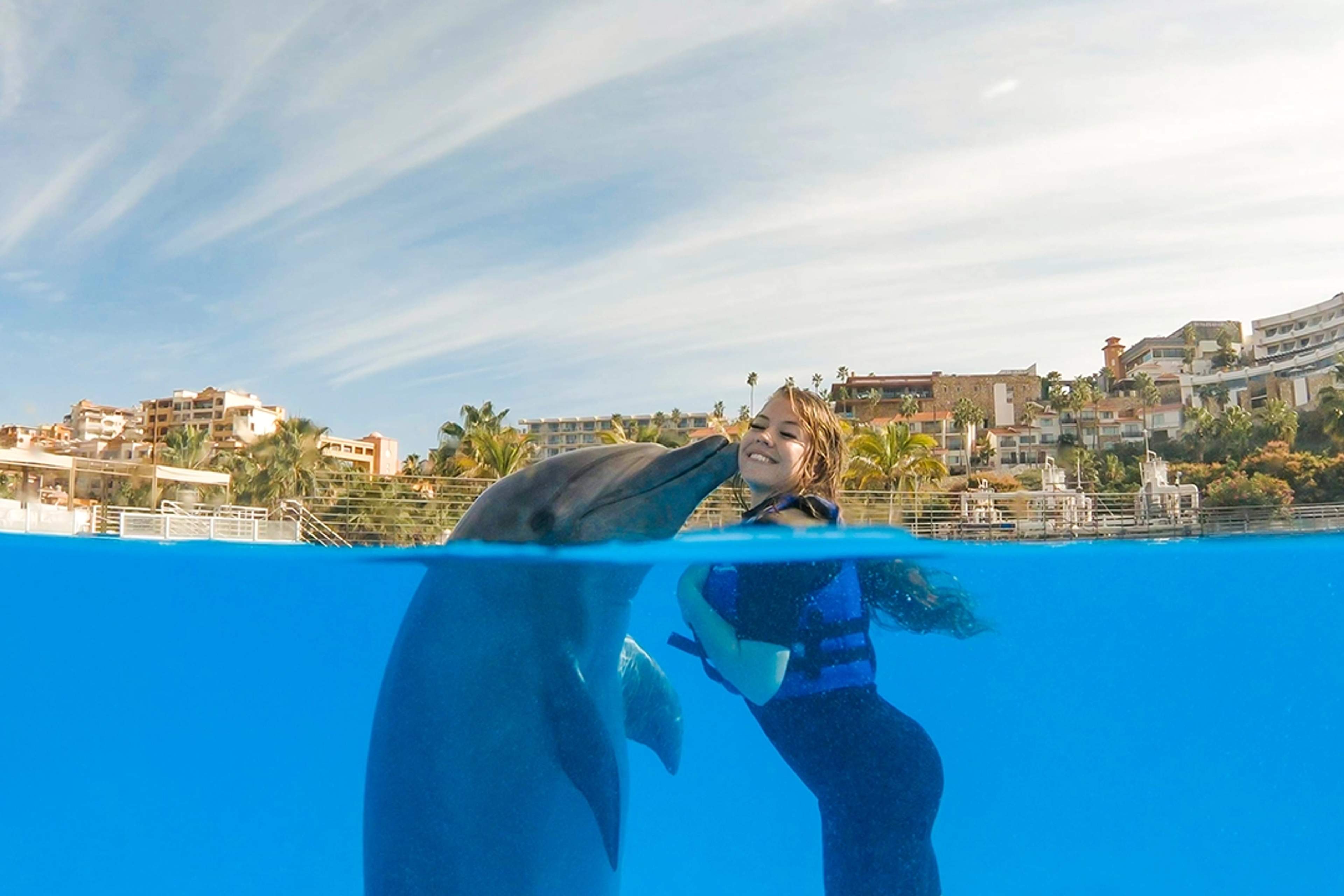 A woman smiles while interacting with a dolphin in a pool, with a backdrop of palm trees and coastal buildings.