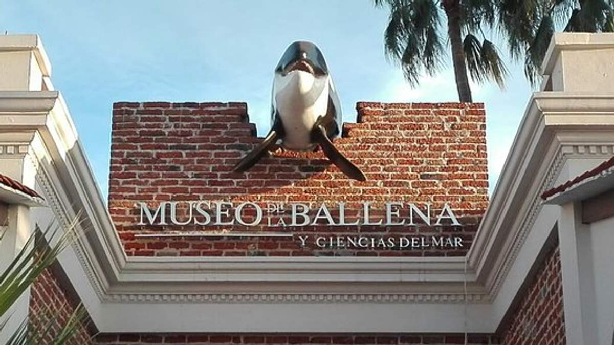 Entrada del Museo de la Ballena en La Paz, con una maqueta de ballena saliendo de un muro de ladrillo.