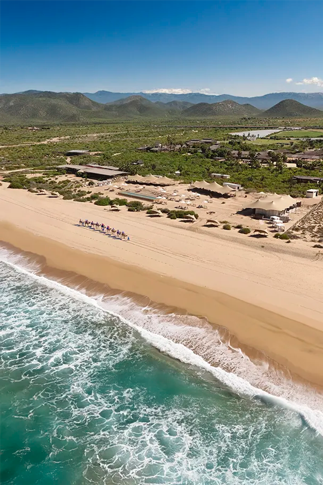 Camel ride along pristine Cabo beach with ocean waves at Tierra Sagrada Beach & Adventure Park