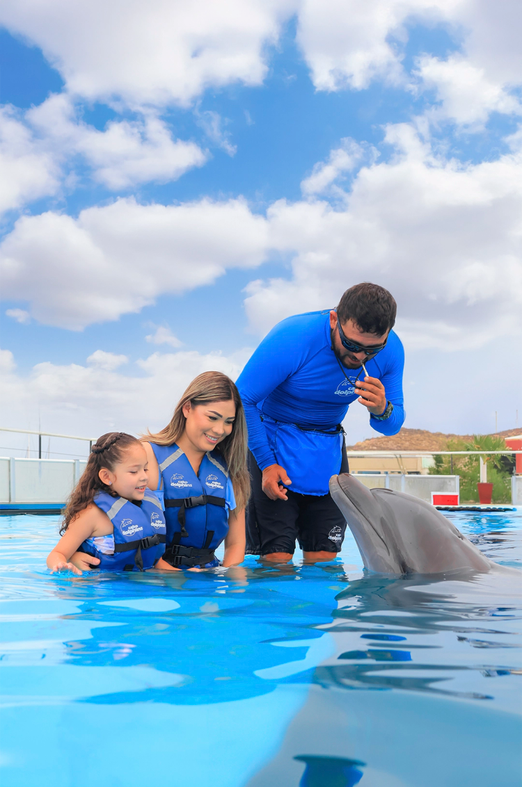 Woman receiving a kiss from a dolphin during a swim experience in Cabo San Lucas.