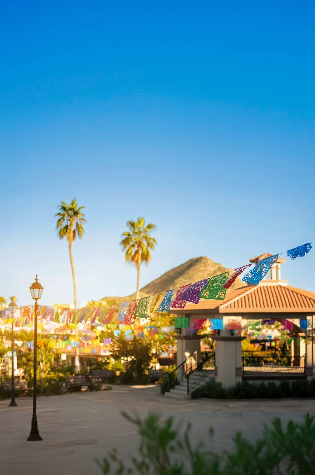 Colorful papel picado decorates a lively plaza in Cabo San Lucas, framed by palm trees and a mountain.