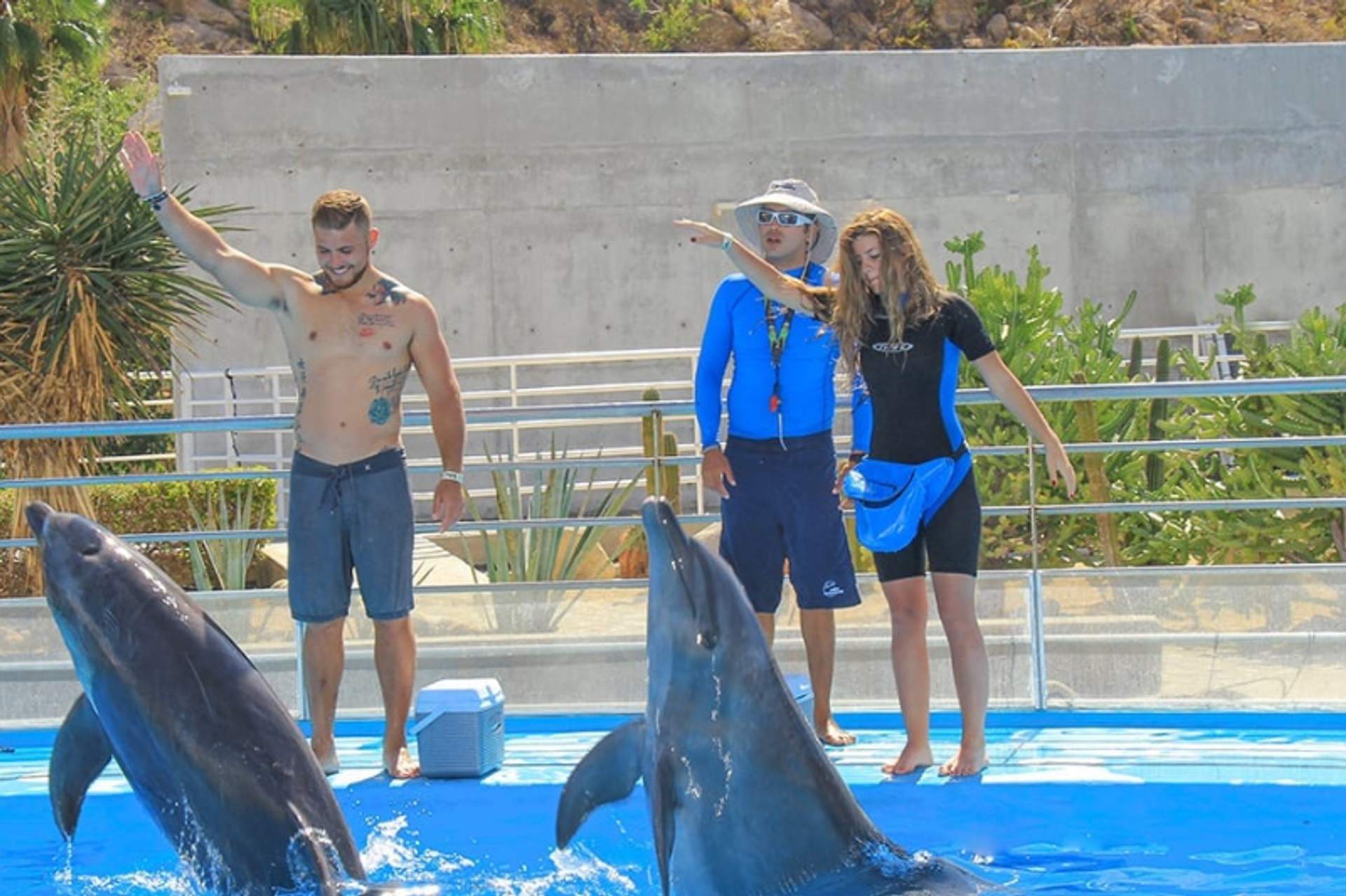Two dolphins perform in front of a shirtless man, a person in blue, and a woman in a wetsuit, all gesturing towards them on a poolside platform.