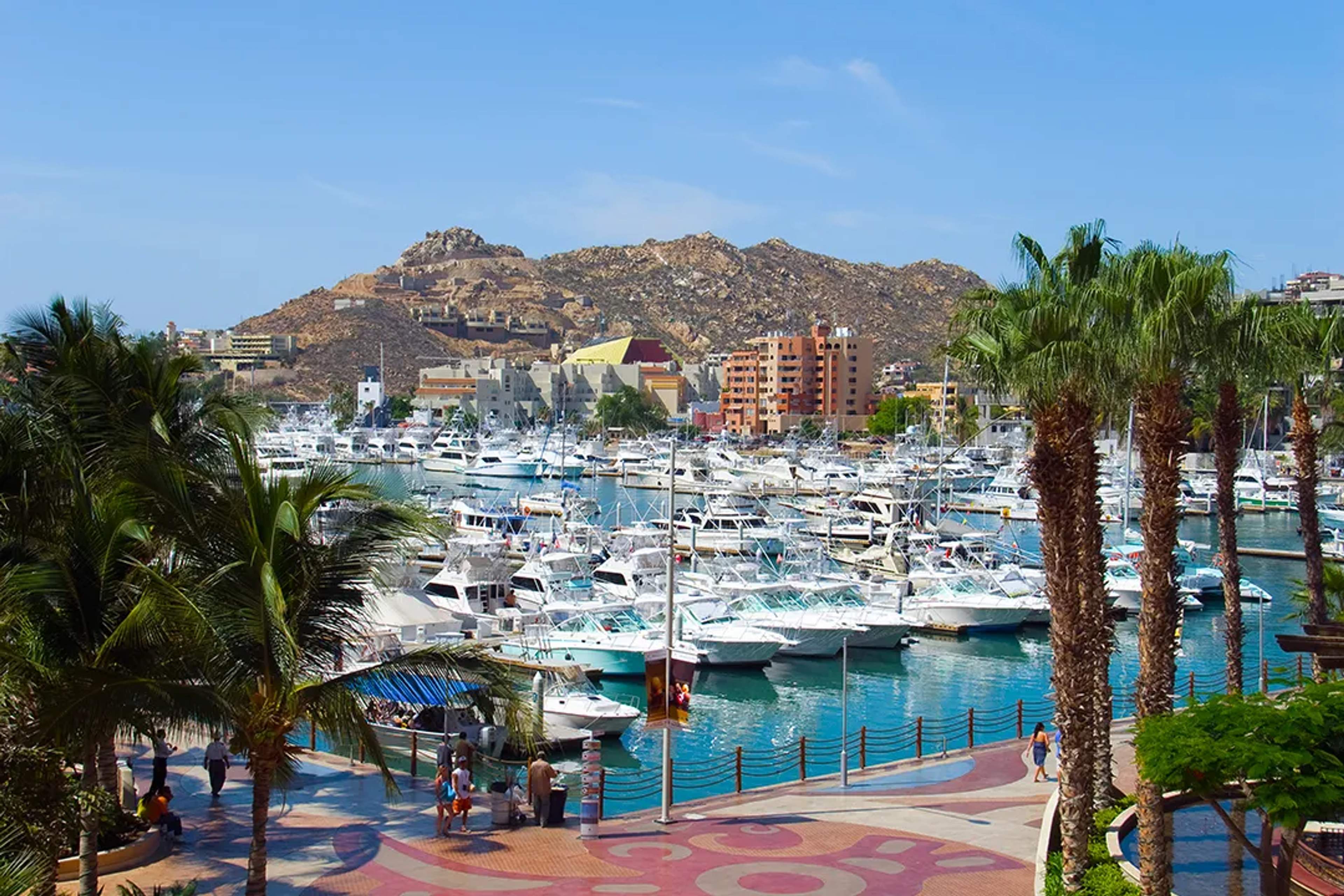 Marina de Cabo San Lucas con yates de lujo palmeras y vistas al puerto en Baja California Sur México
