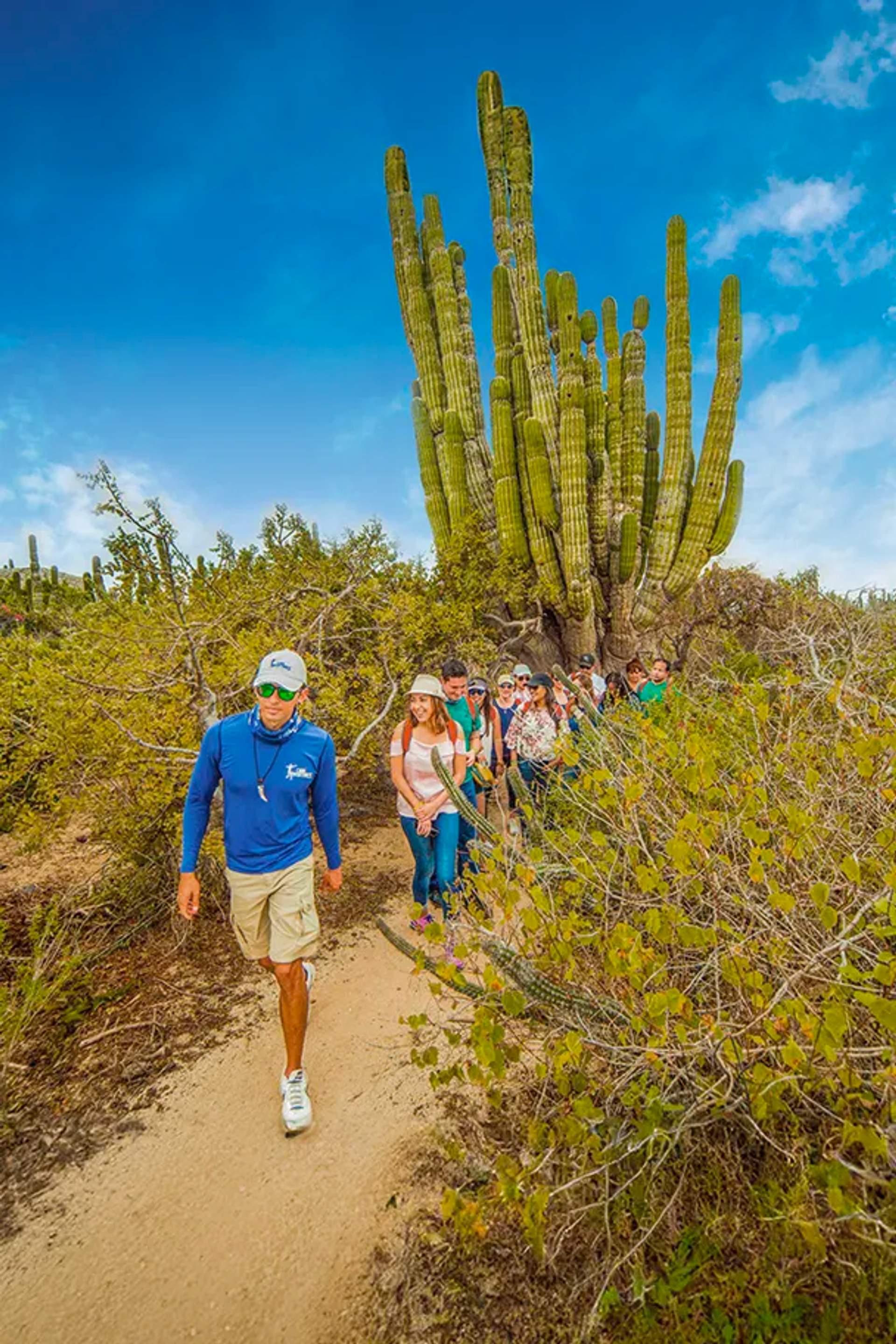 Embark in some of the best Cabo Ecotourism Trips.