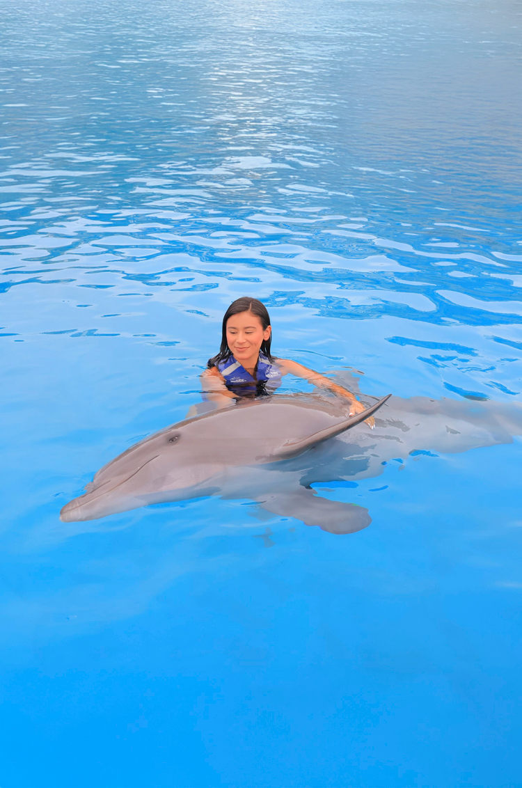 Woman petting and interacting with a dolphin during a swim in Cabo San Lucas.