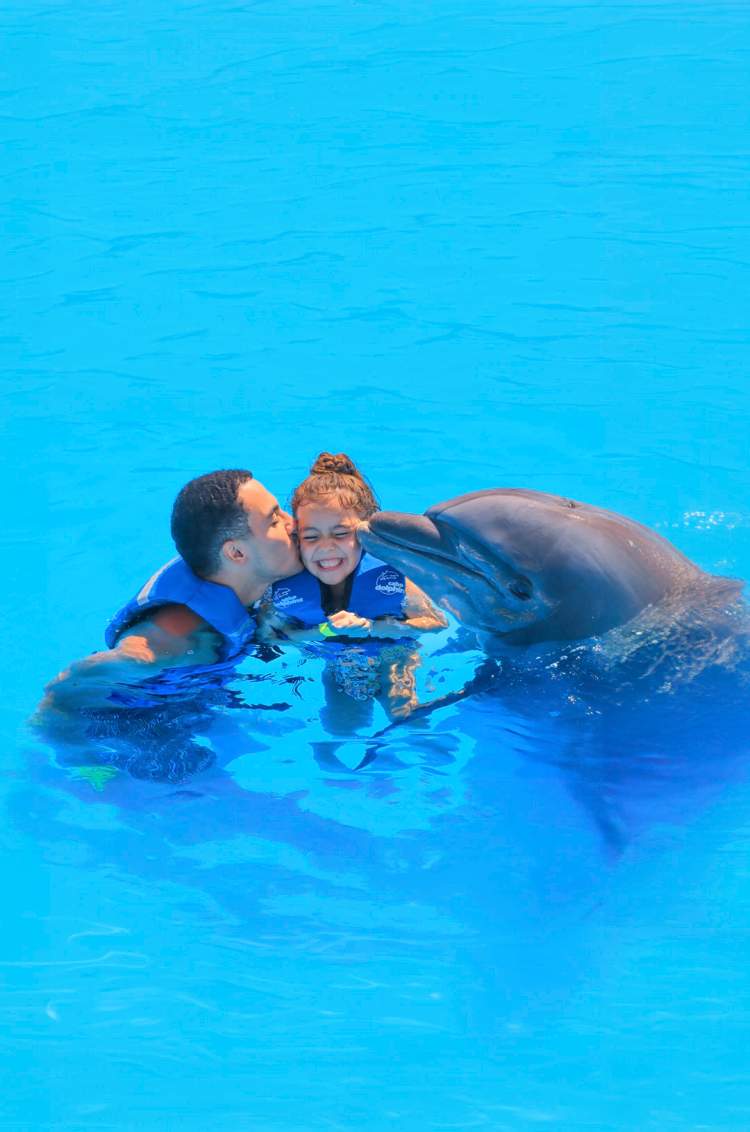 Father and daughter get a kiss from a dolphin during a dolphin swim experience in Cabo San Lucas.