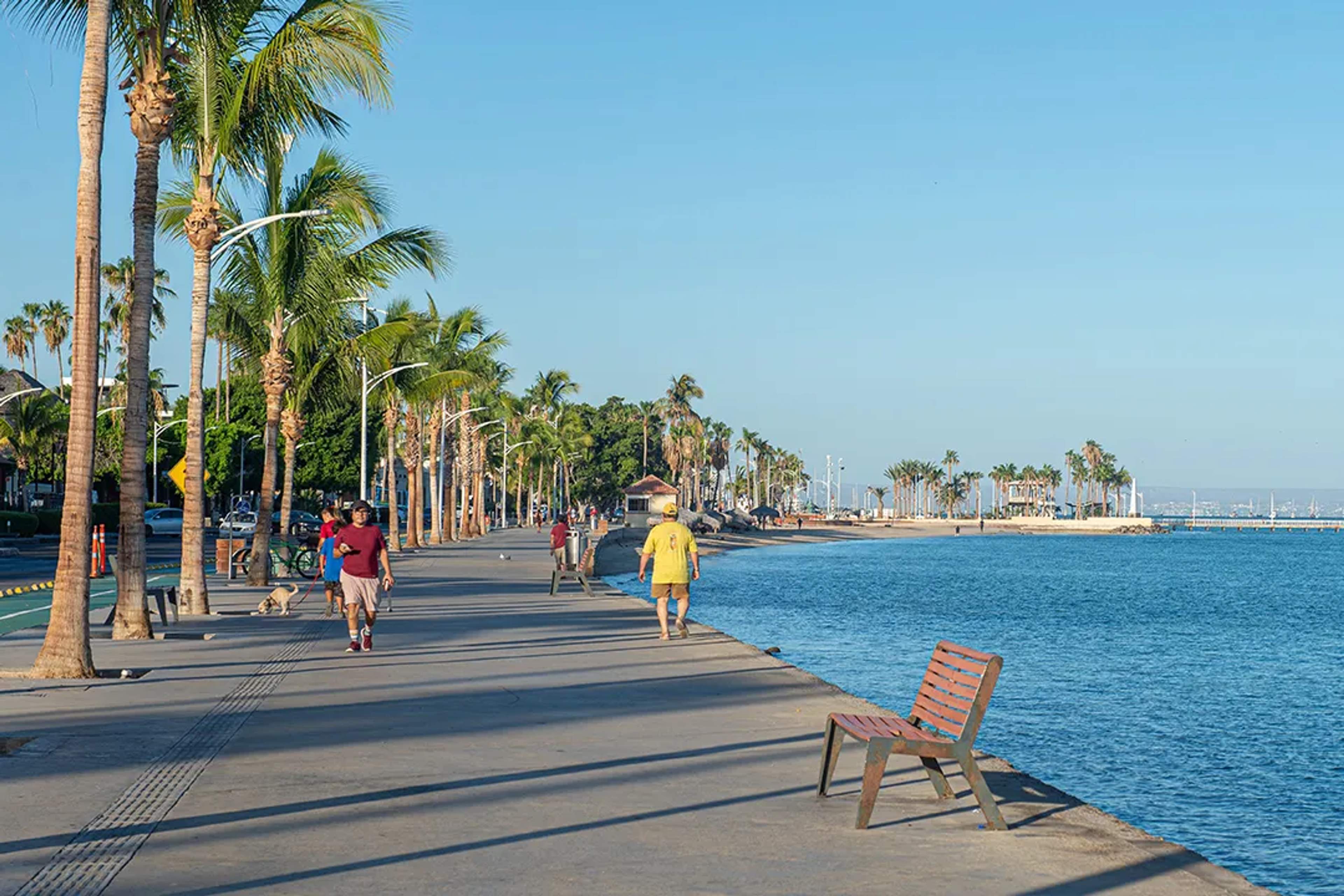 La Paz Malecon with people walking along the waterfront lined with palm trees and calm blue water