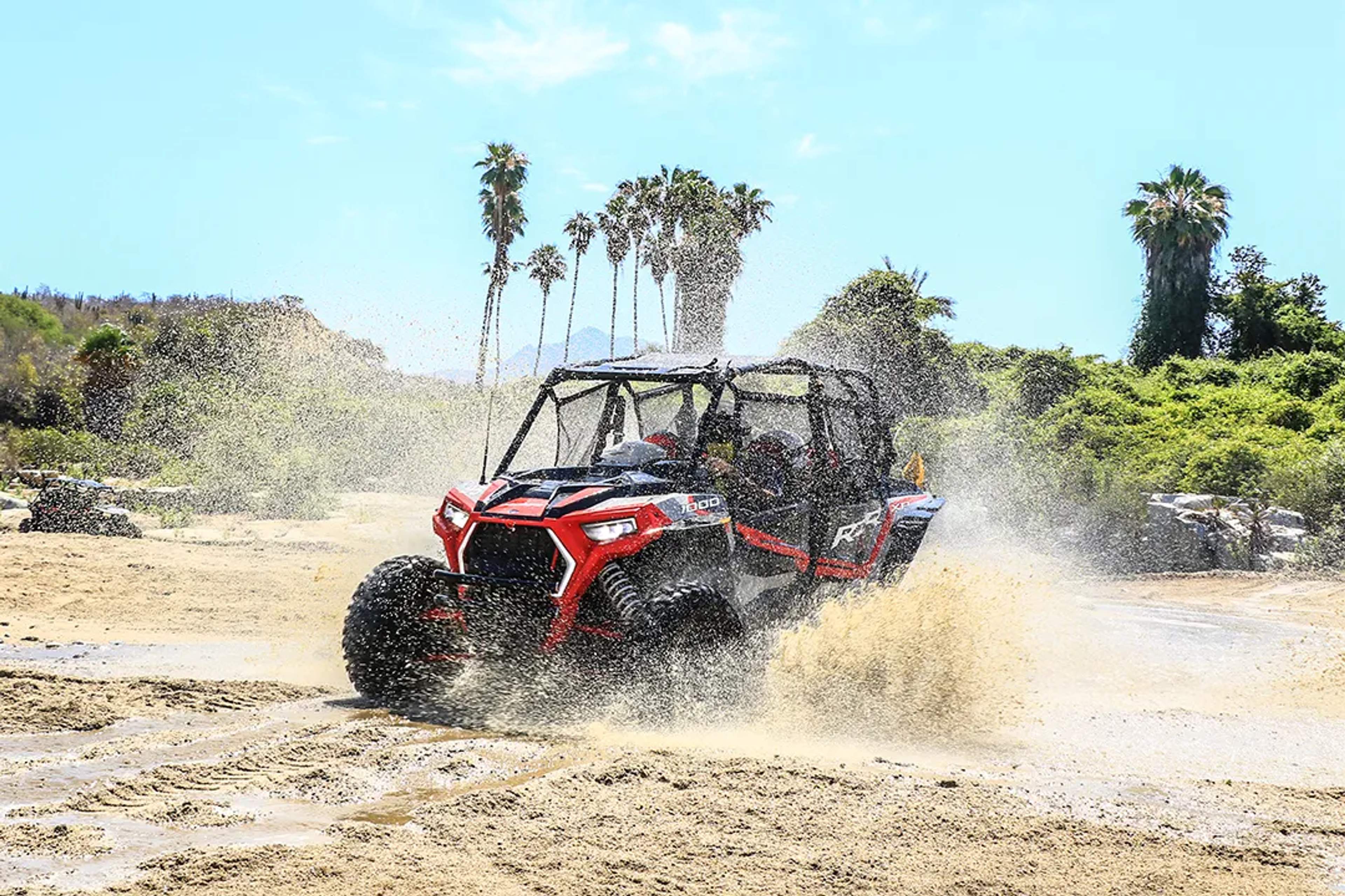 UTV splashes through muddy terrain under palm trees on a sunny off-road adventure.