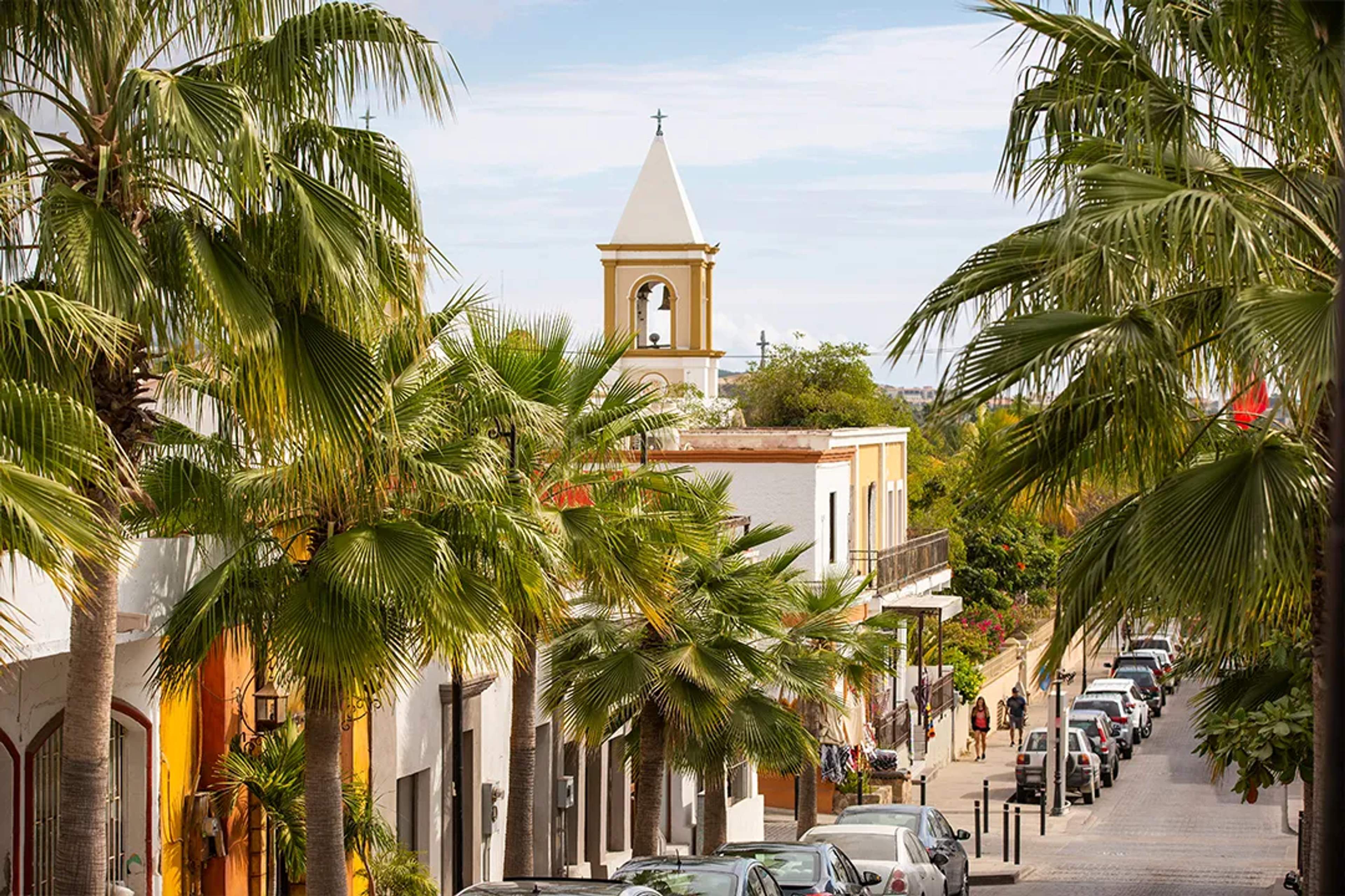 Calle encantadora en San José del Cabo con palmeras y la histórica torre de la misión al fondo
