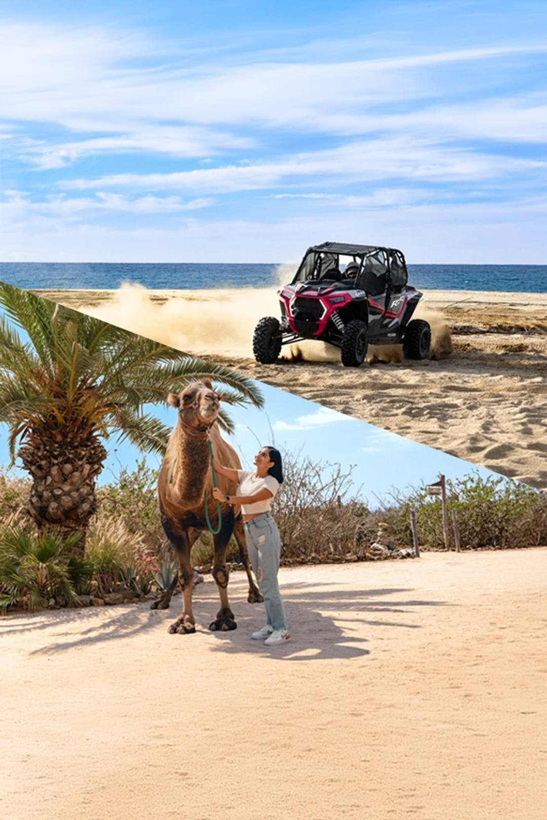 Woman with a camel and UTV on the beach, blending adventure and nature in Cabo San Lucas.